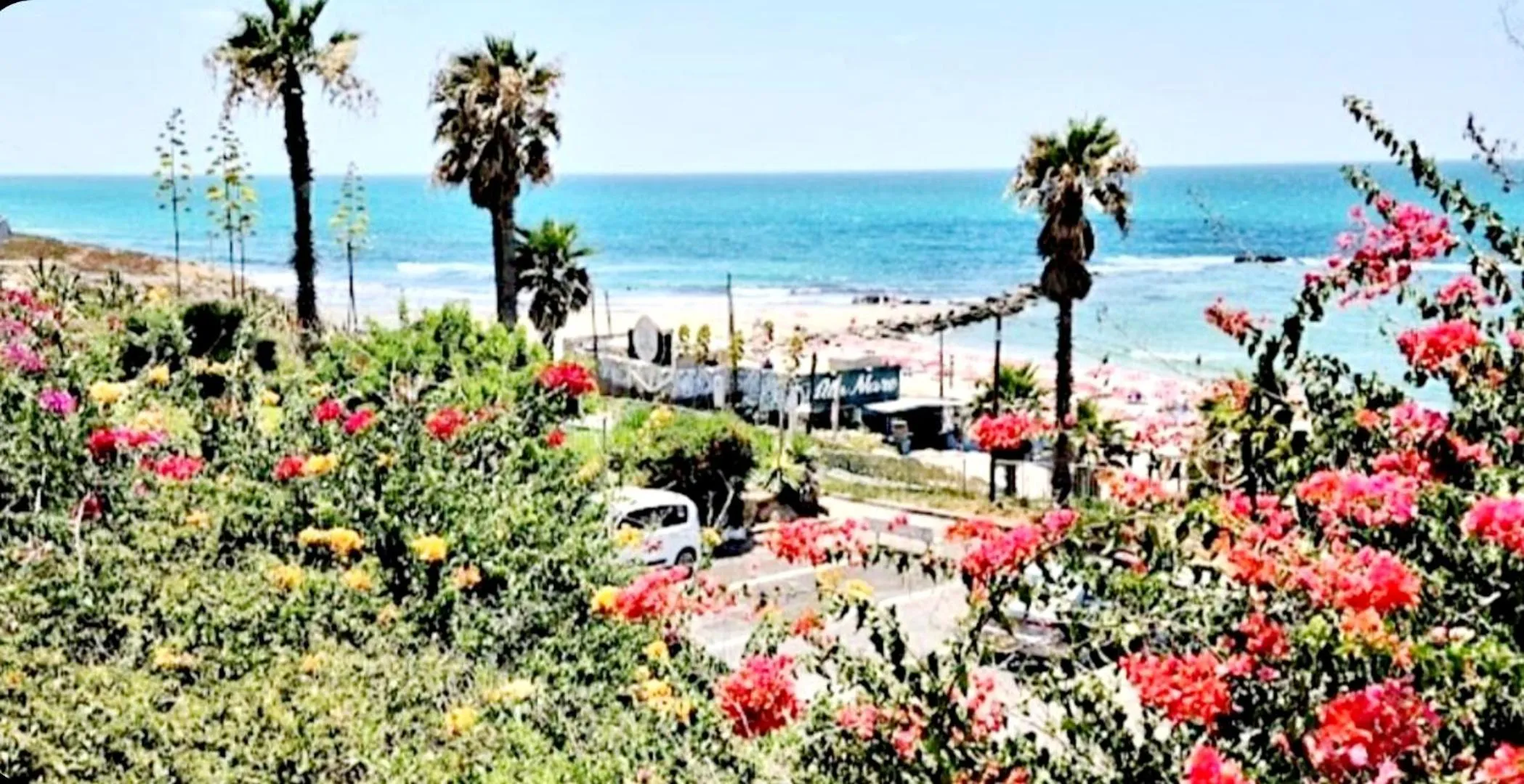 Garden in 612 apartment on the beach