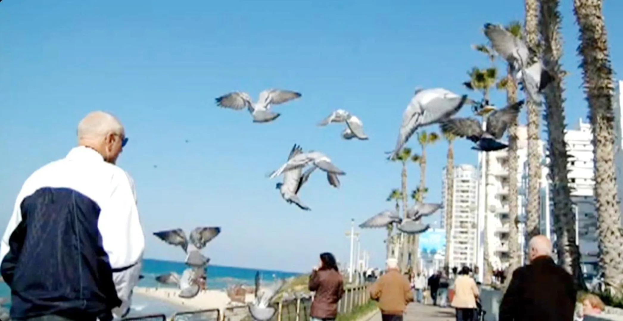 People in 612 apartment on the beach