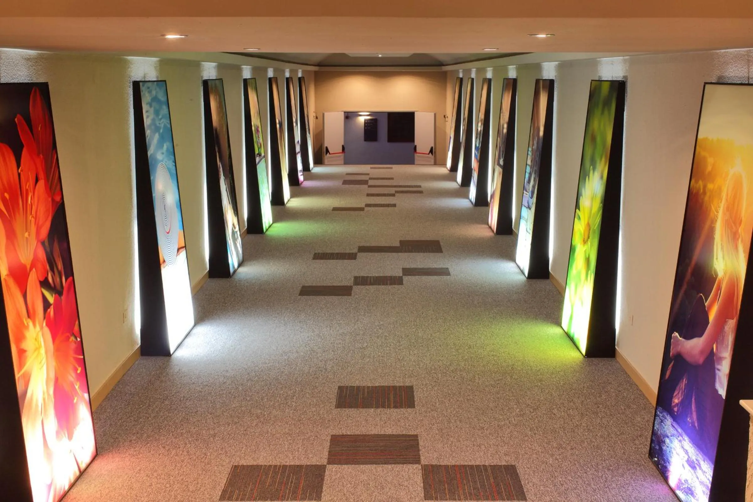 Other in O7 Tenerife