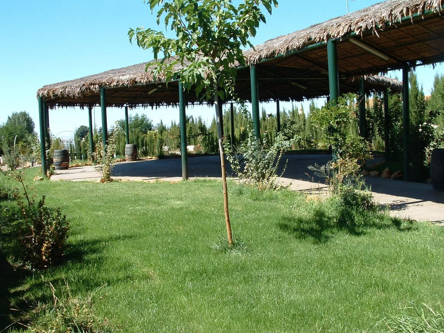 Garden in Villa de Gor