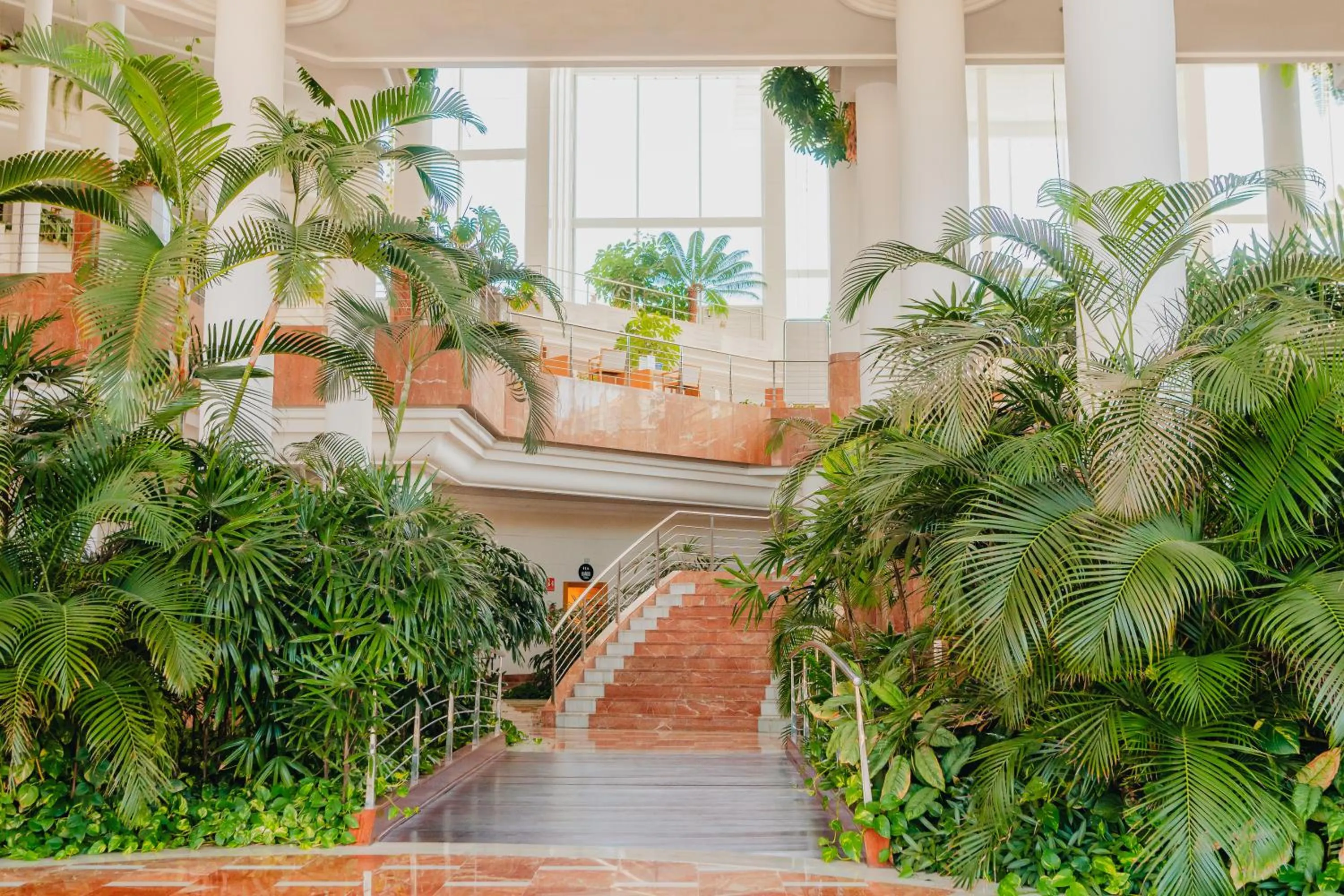 Natural landscape in Landmar Playa La Arena