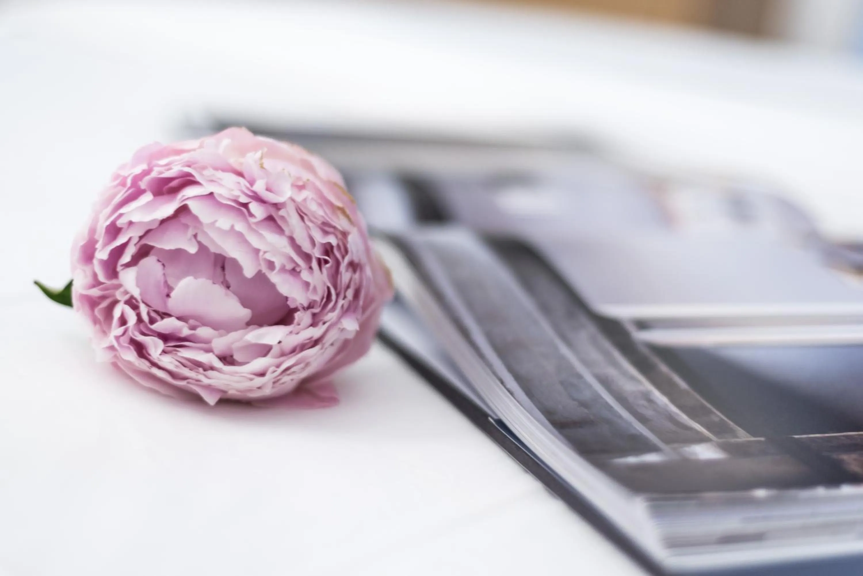 Decorative detail in Al Pescatore - B&B