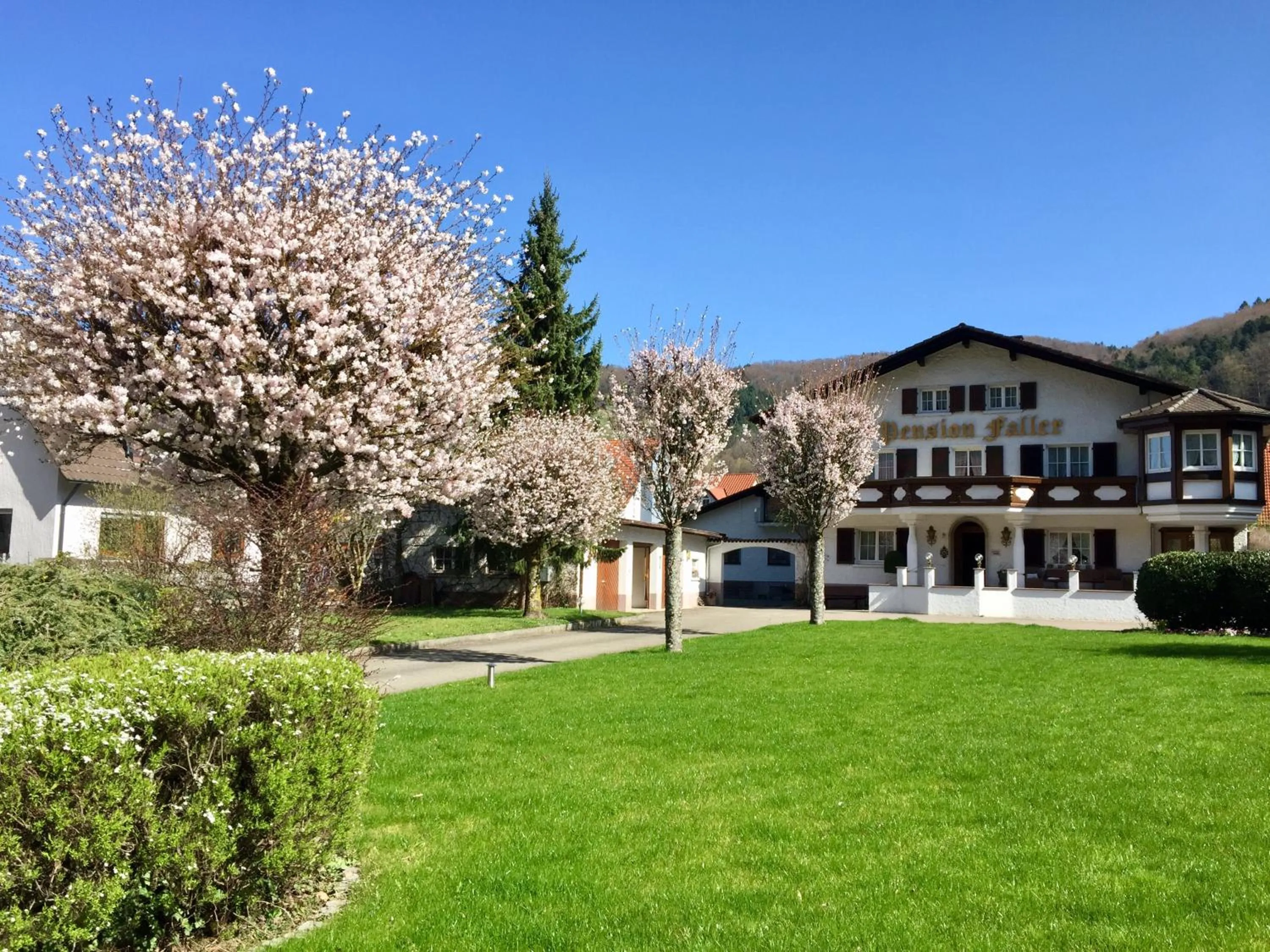 Hotel Gasthaus Adler