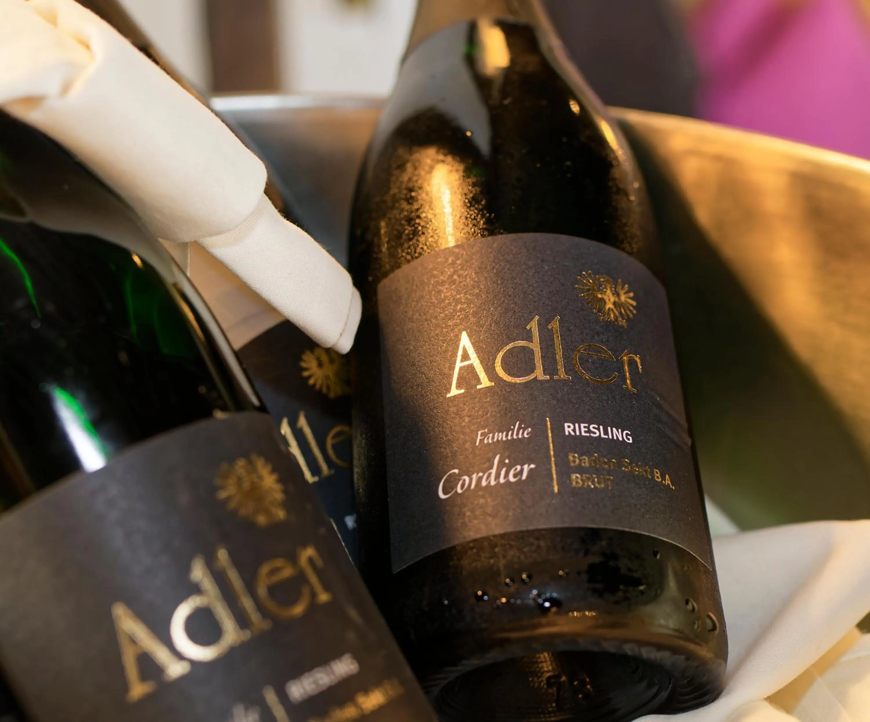 Hotel Gasthaus Adler