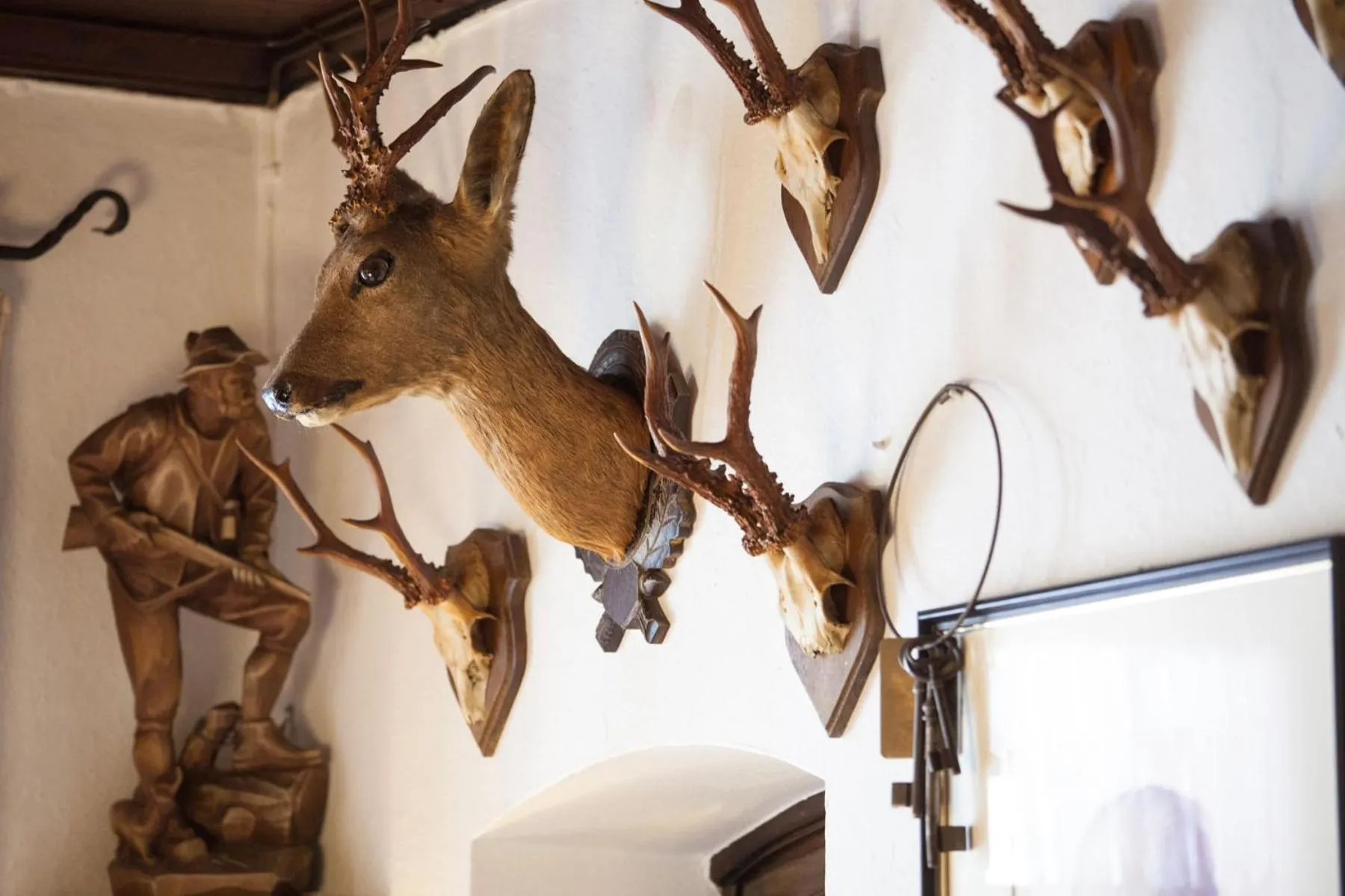 Hotel Gasthaus Adler