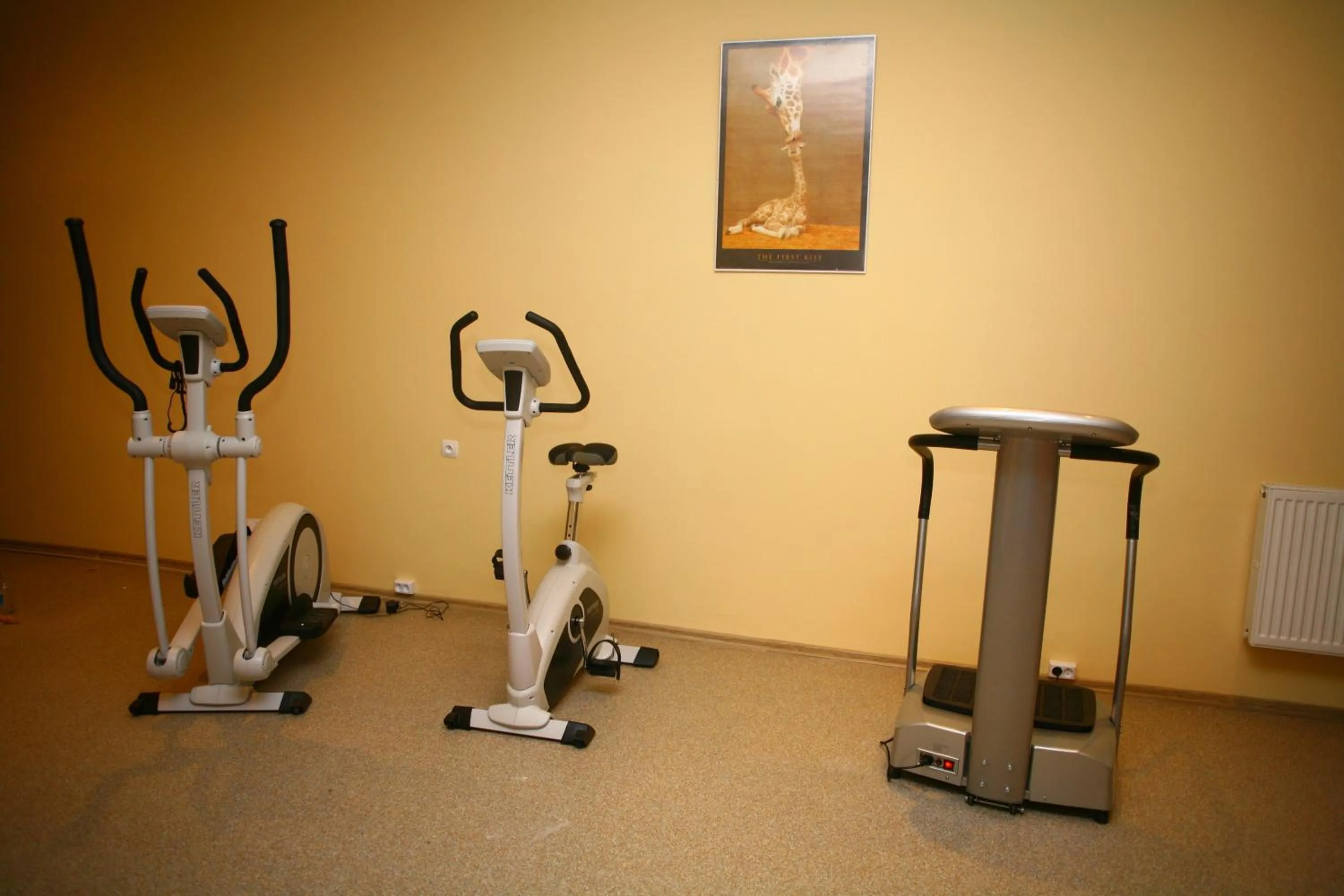 Fitness centre/facilities in Europa