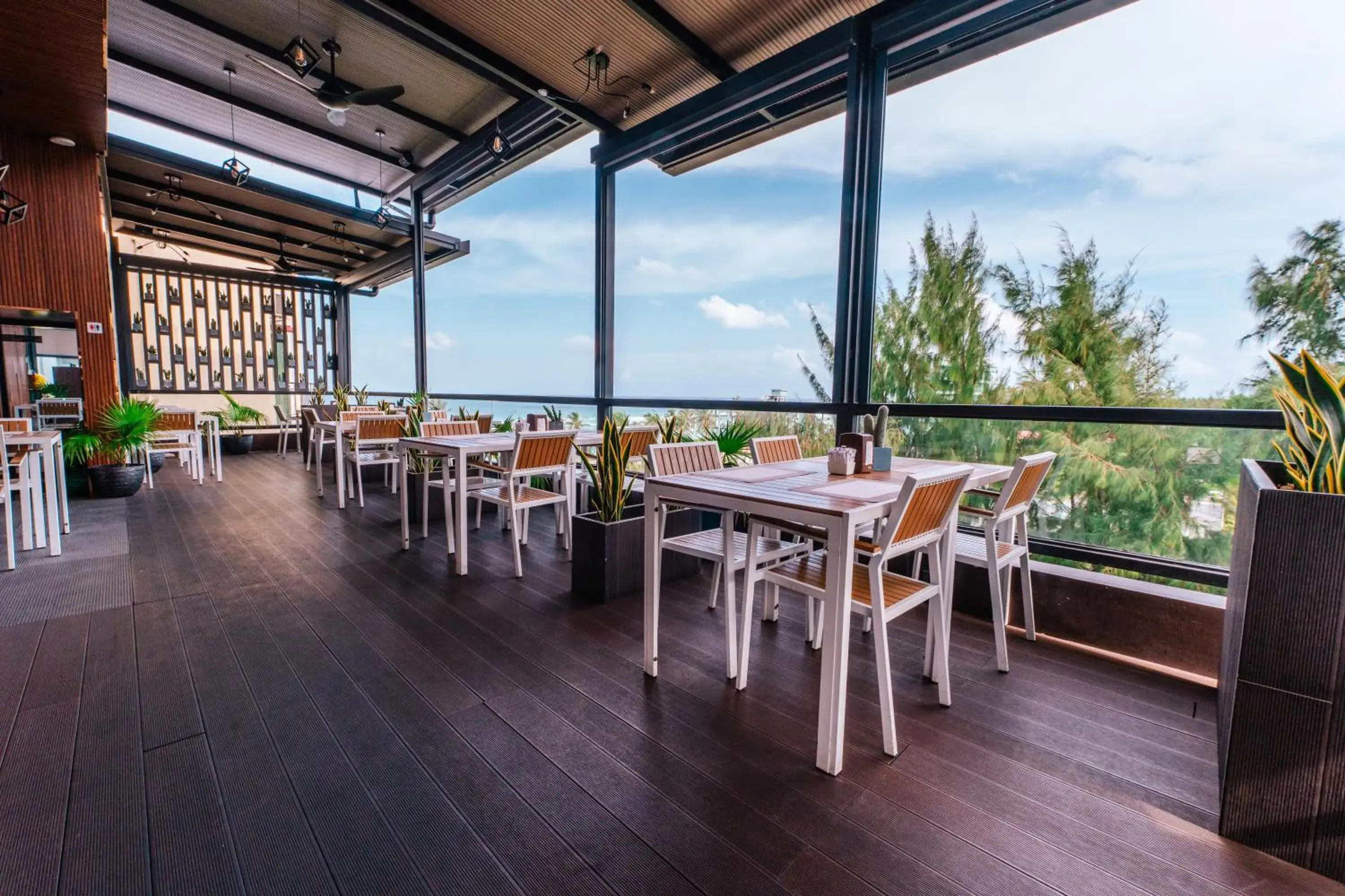 Restaurant/places to eat in Hotel Star Shell Restaurant/places to eat in Hotel Star Shell