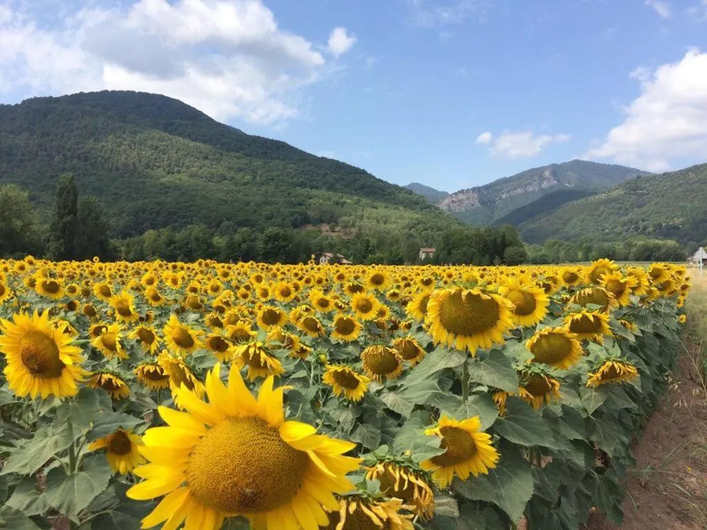 View (from property/room) in B&B Placa Bell-Lloc