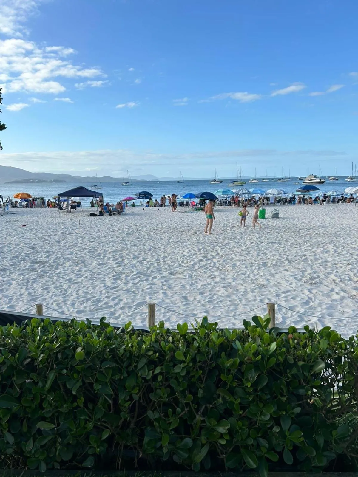 Garden in Hotel Sete Ilhas