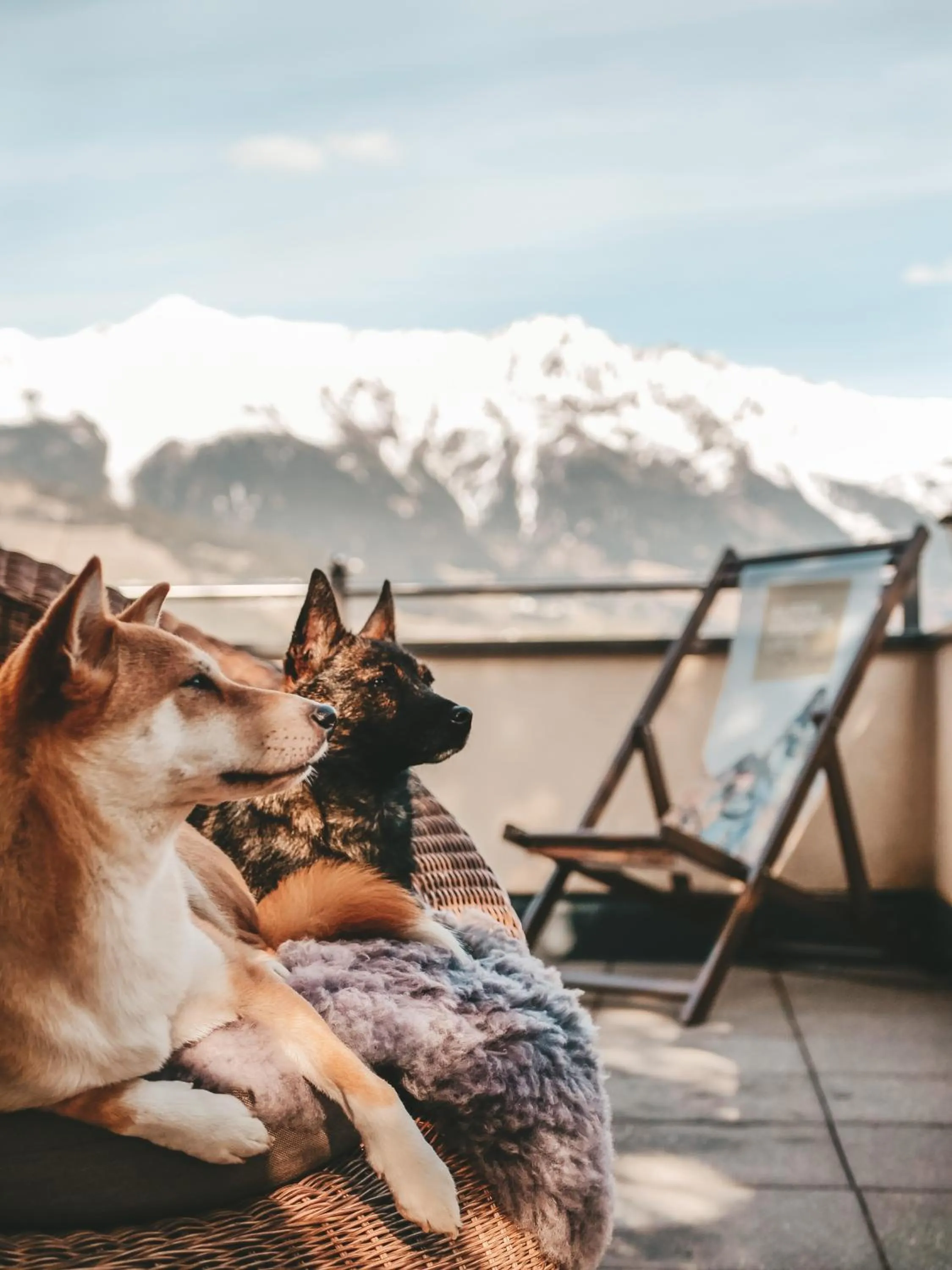 ALPENAPART LADIS ehemals Alpenapart Alexander