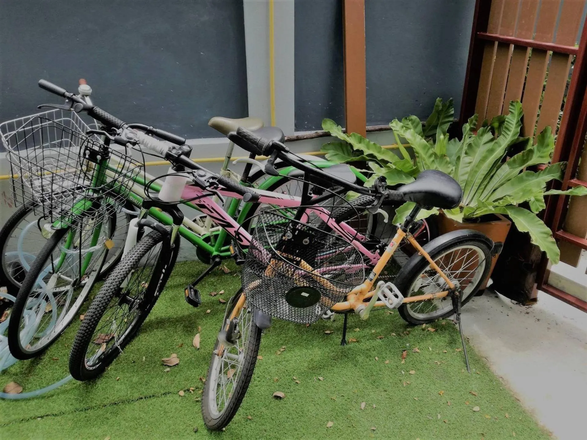 Activities in Baan der Bruyn SHA