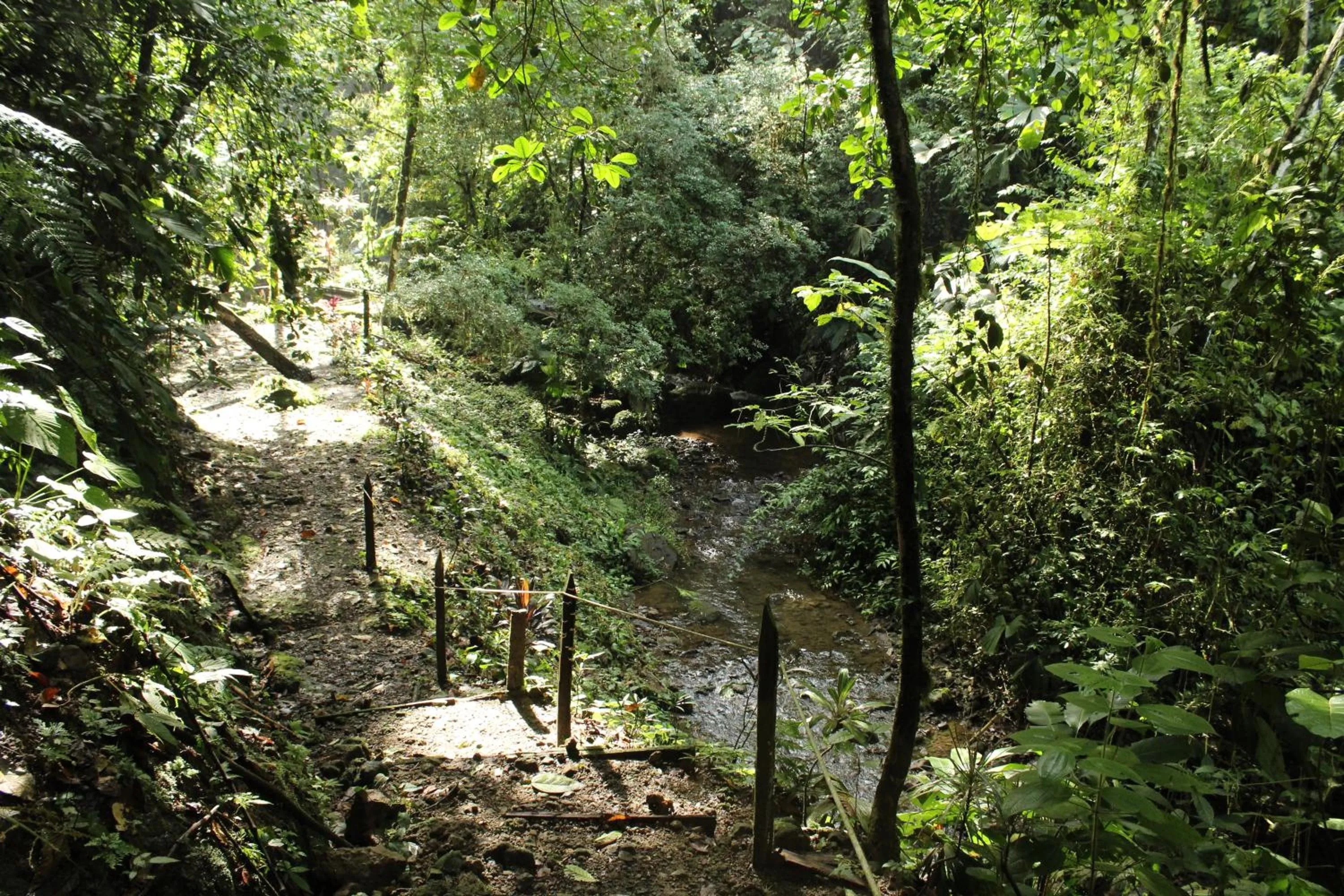 Princesa de la Luna Ecolodge