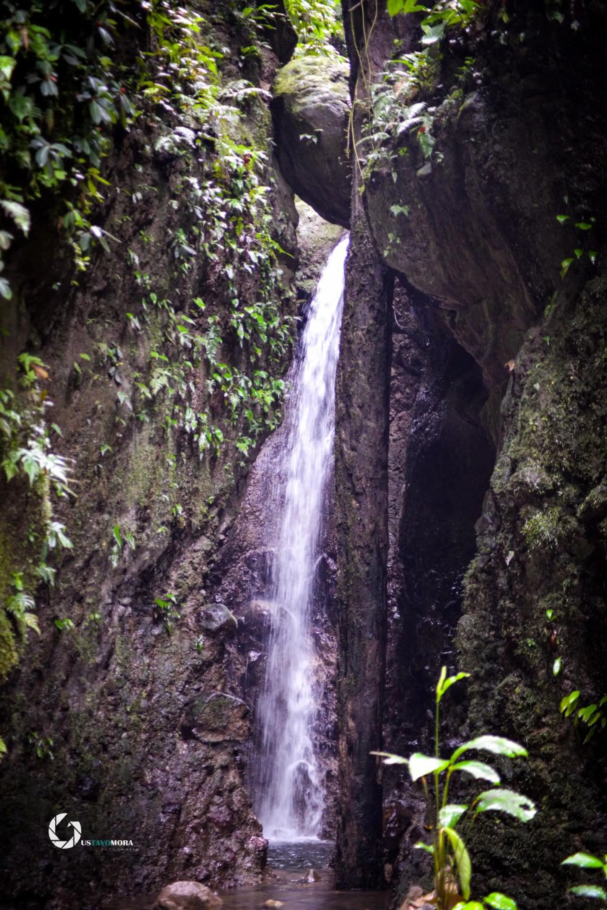 Princesa de la Luna Ecolodge