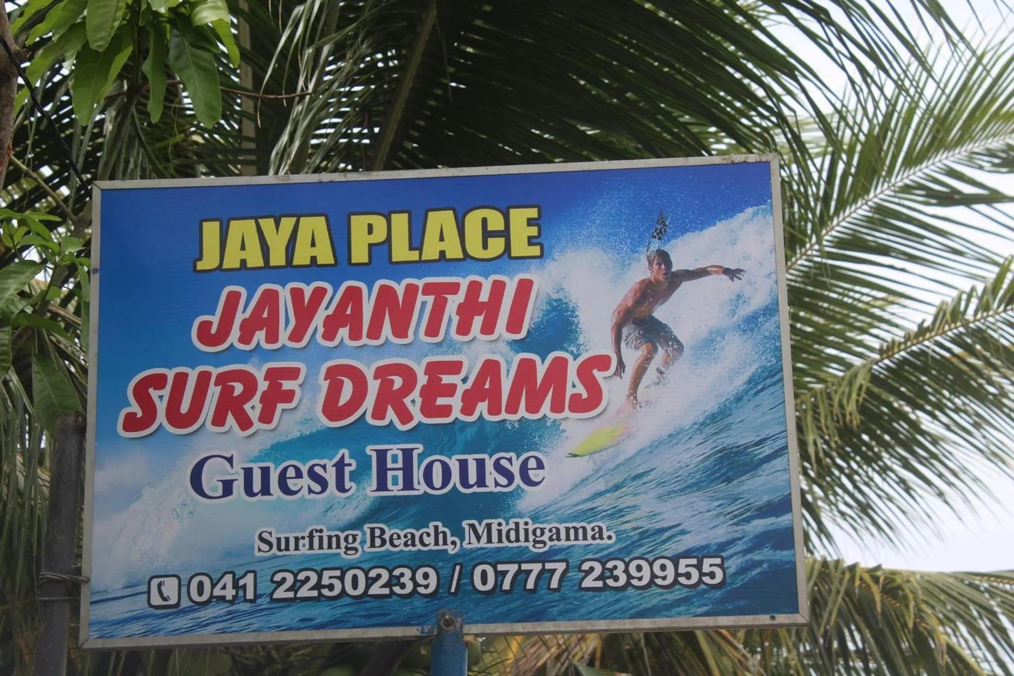 Jayanthi Surf Dreams