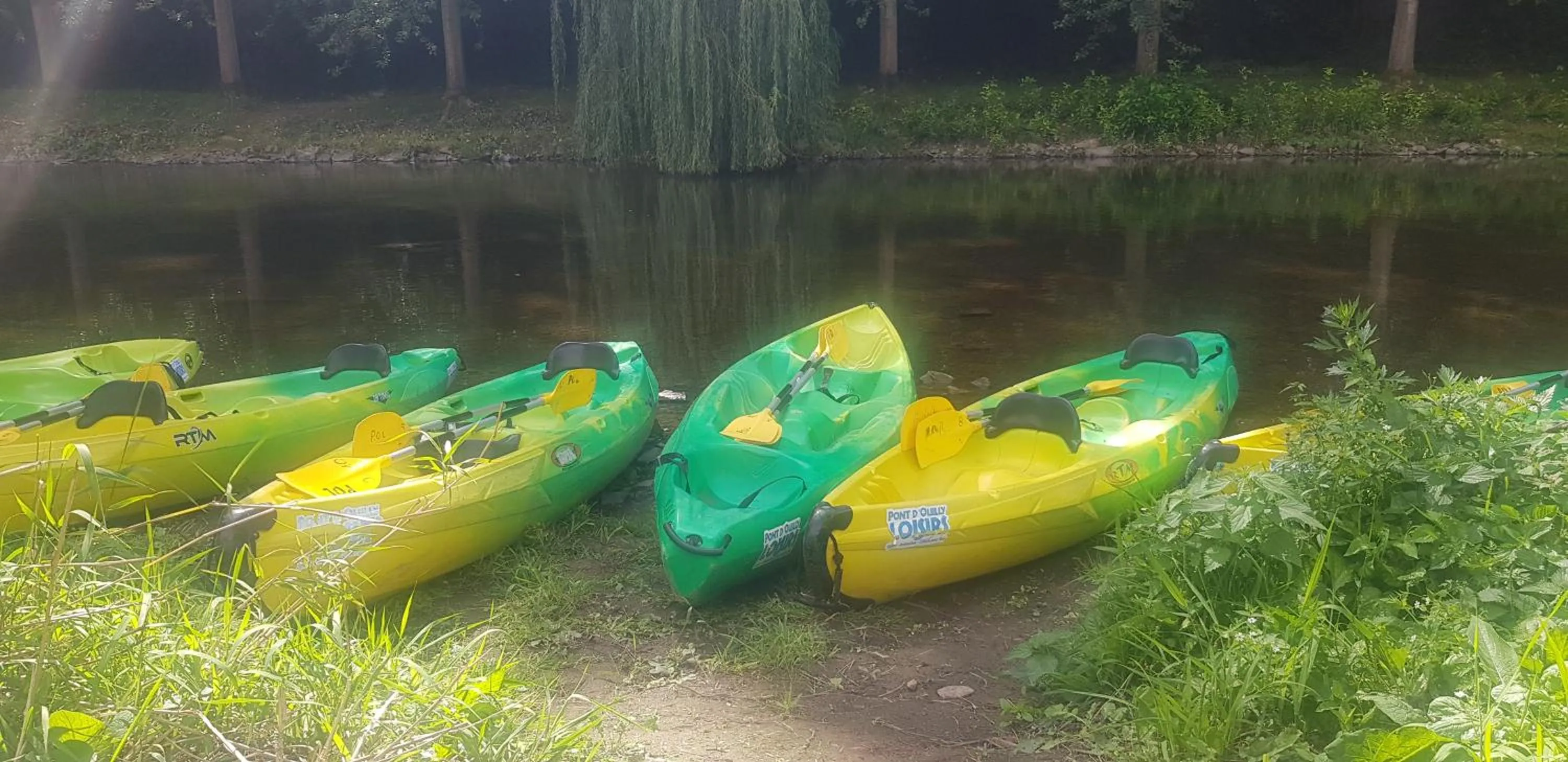 Activities in Cottage sword beach