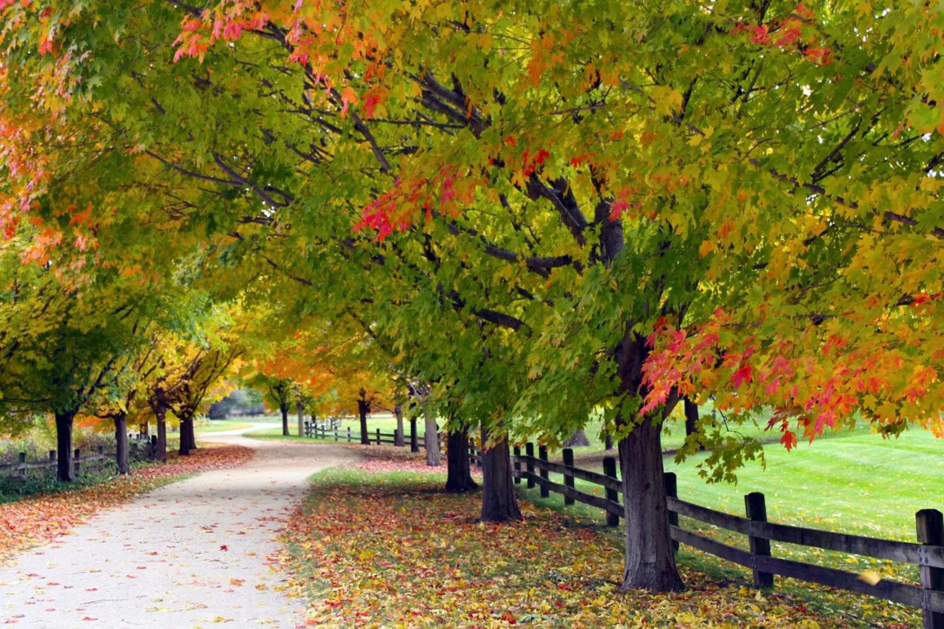 Area and facilities in Lincolnshire Marriott Resort