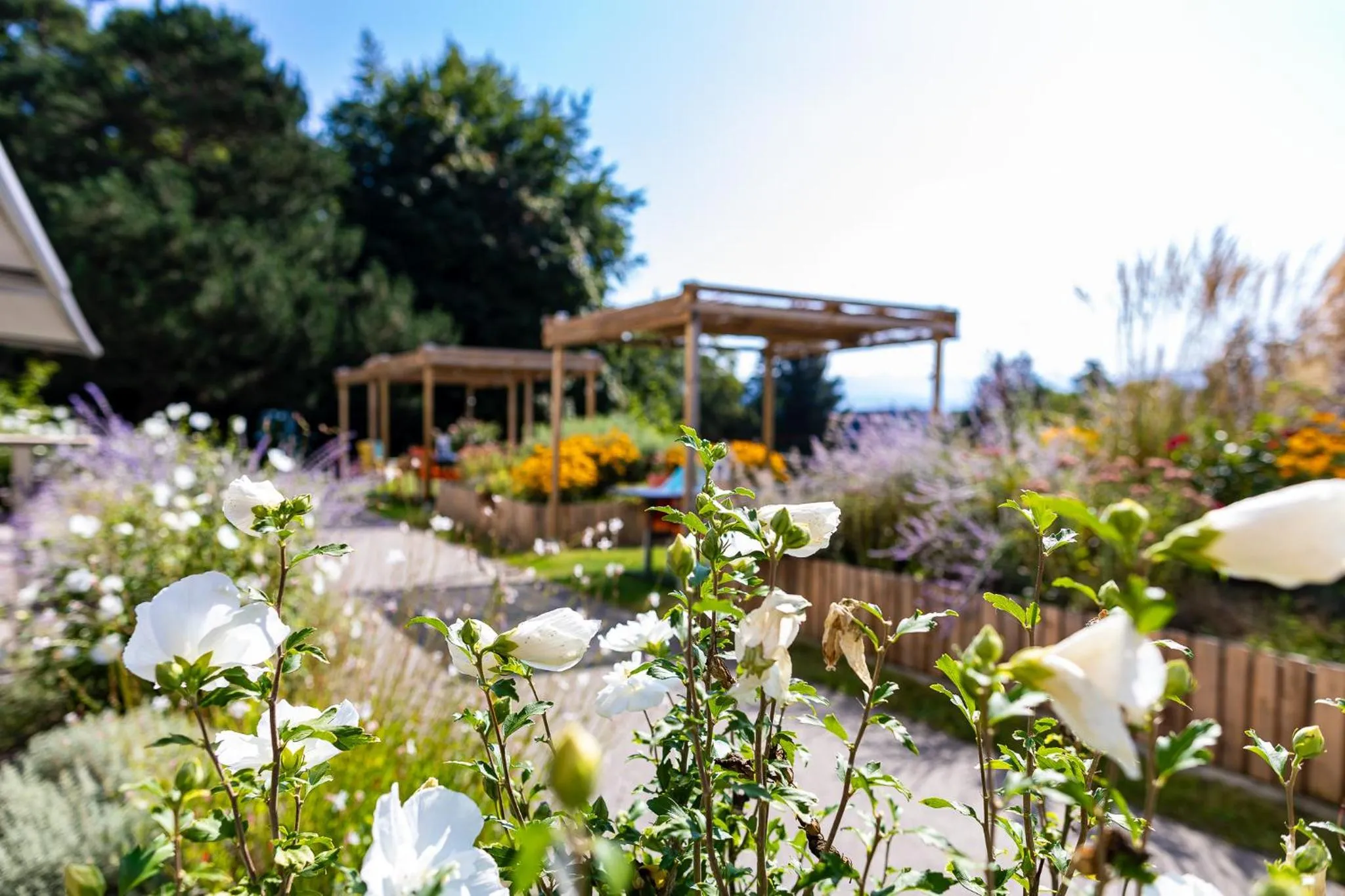 Patio in Le Domaine (Swiss Lodge)