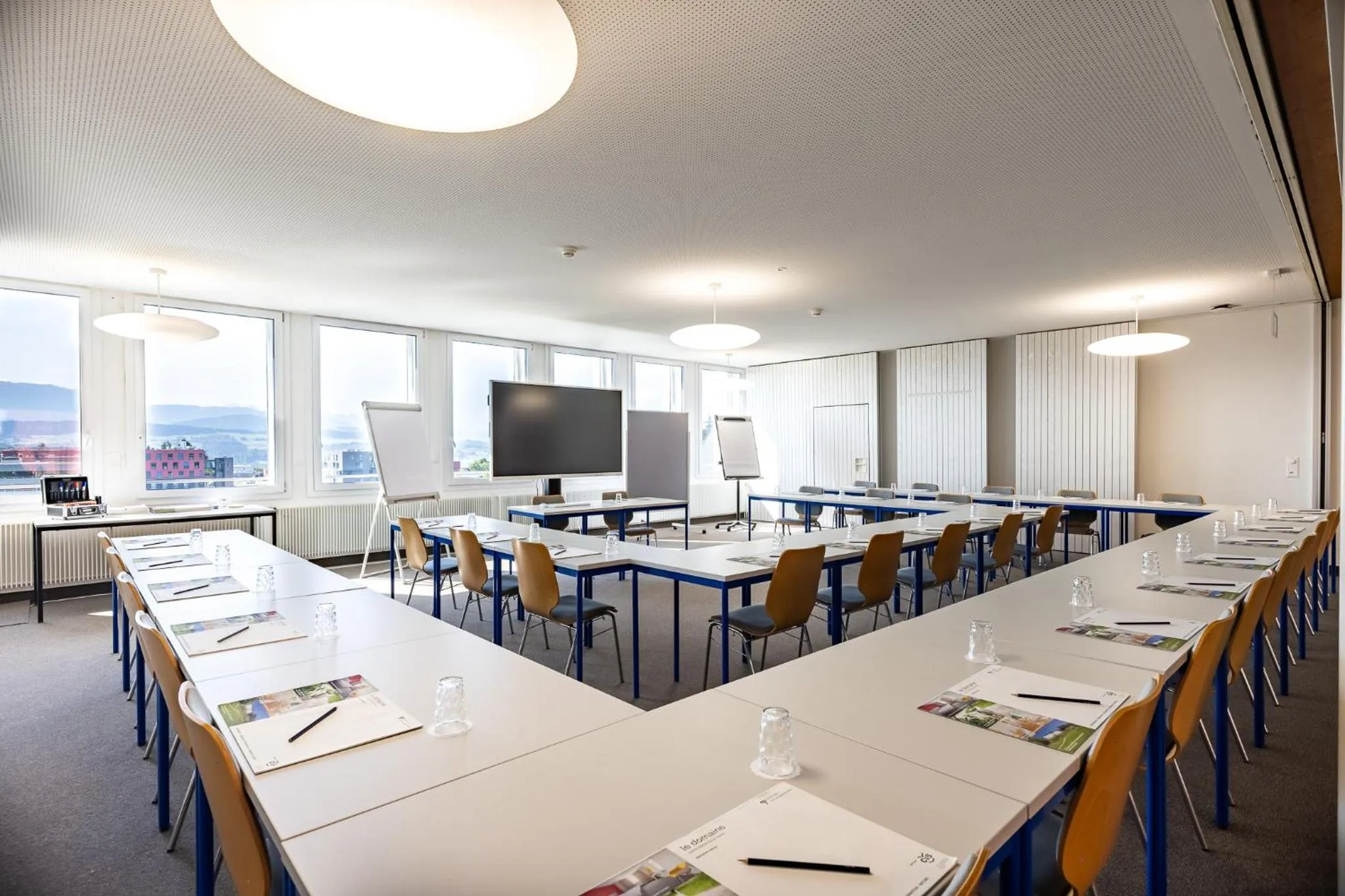 Meeting/conference room in Le Domaine (Swiss Lodge)