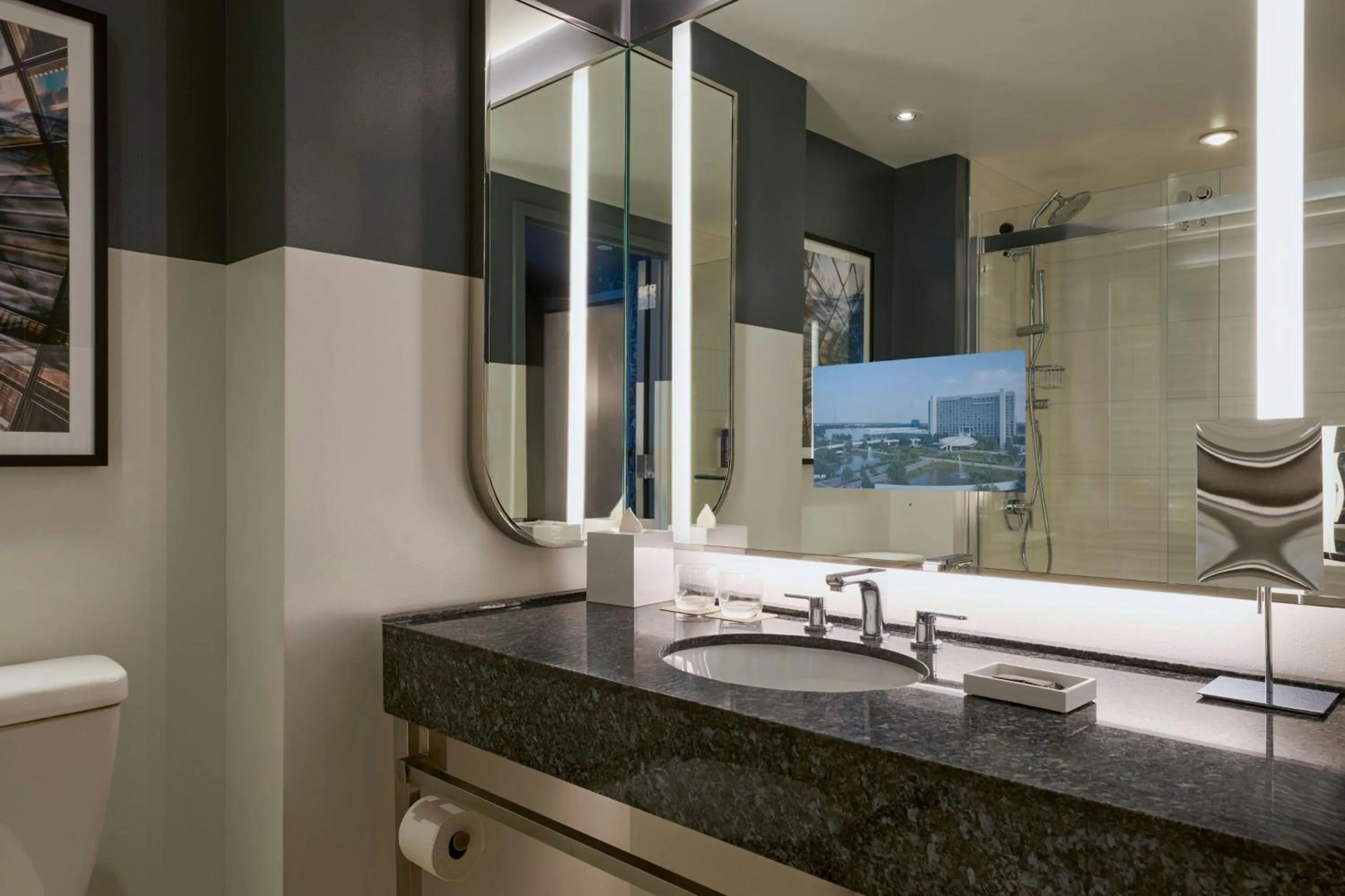 Bathroom in Renaissance Schaumburg Convention Center Hotel