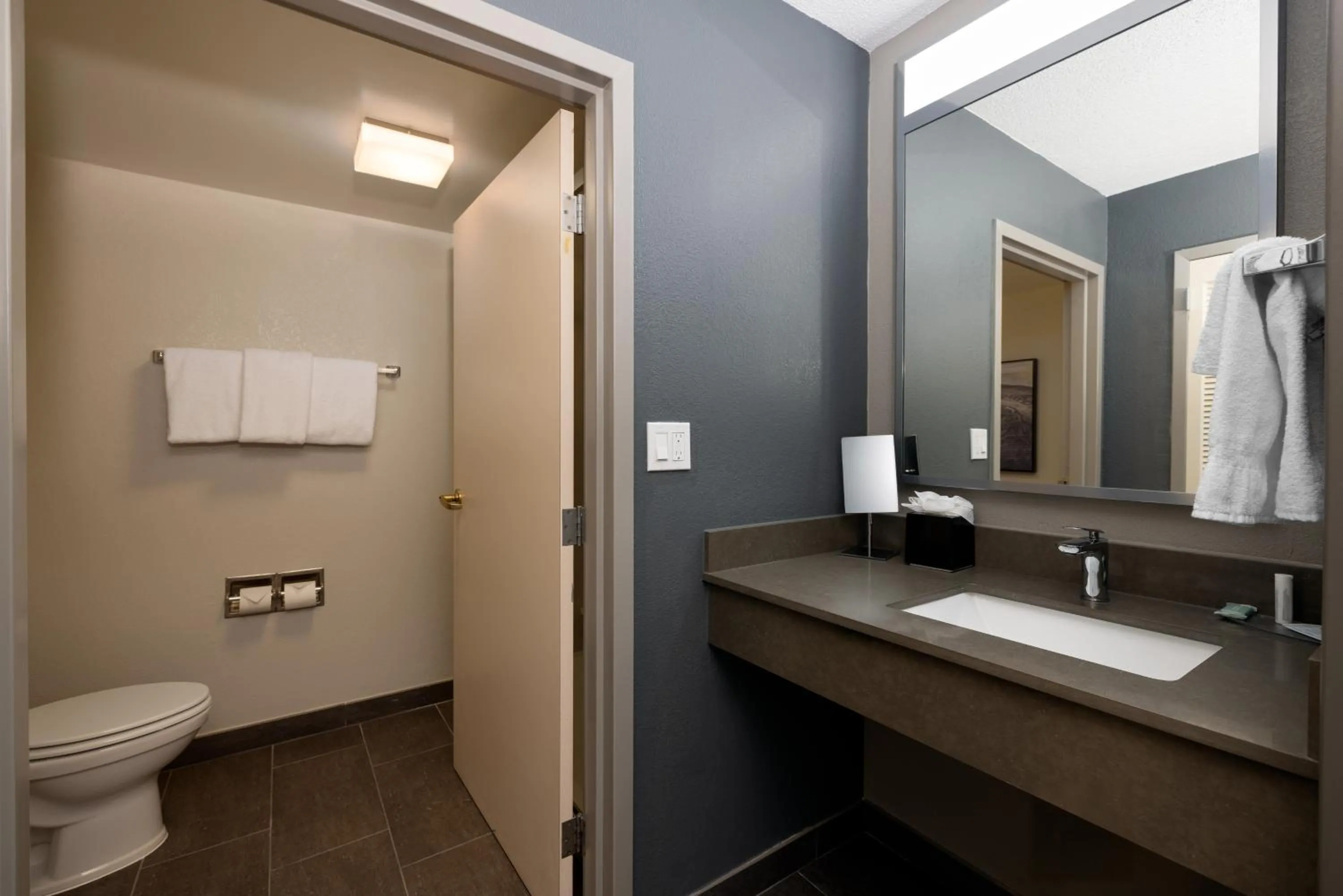 Bathroom in Courtyard by Marriott North Charleston Airport Coliseum