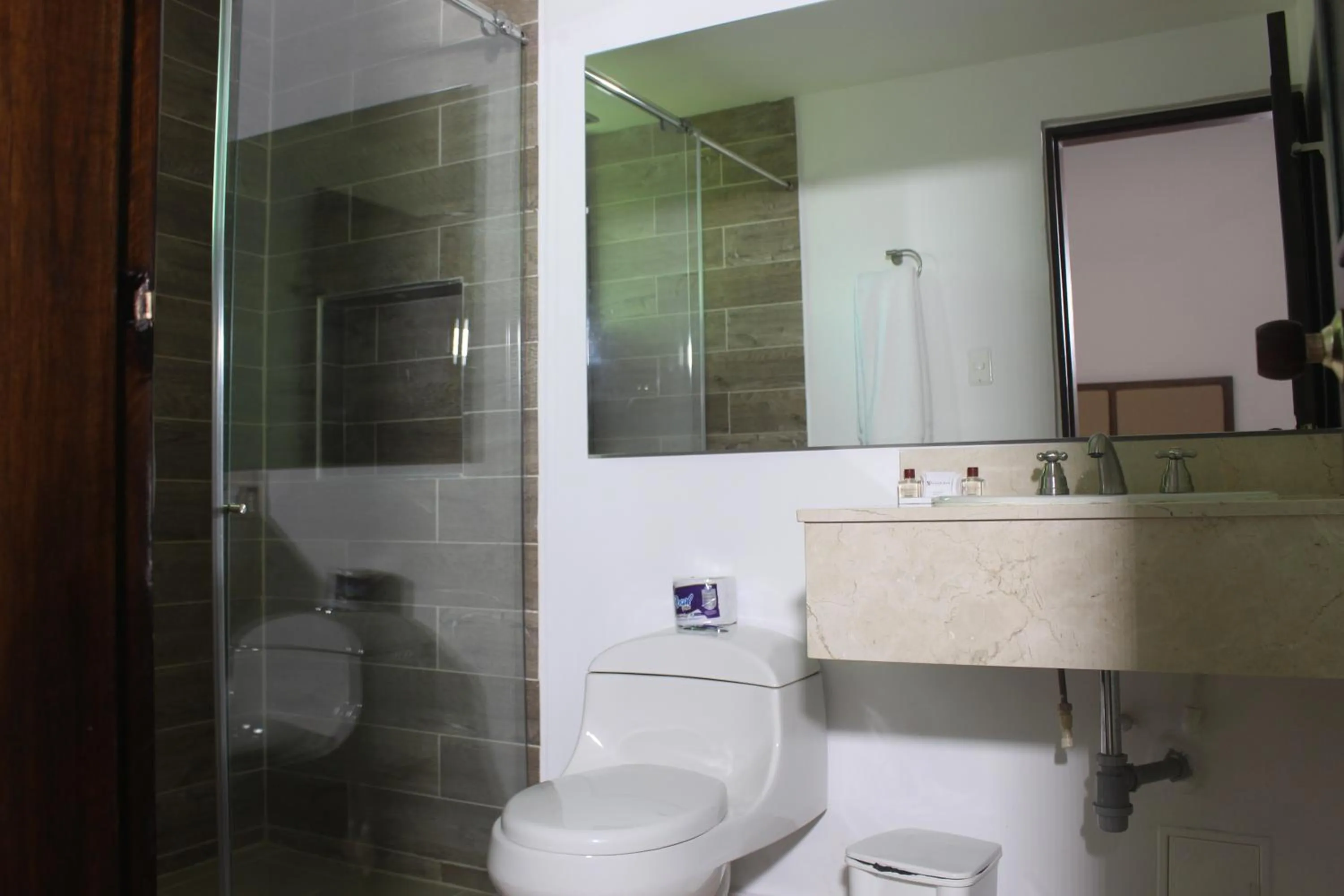 Bathroom in Hotel Dorado Plaza Centro Histórico