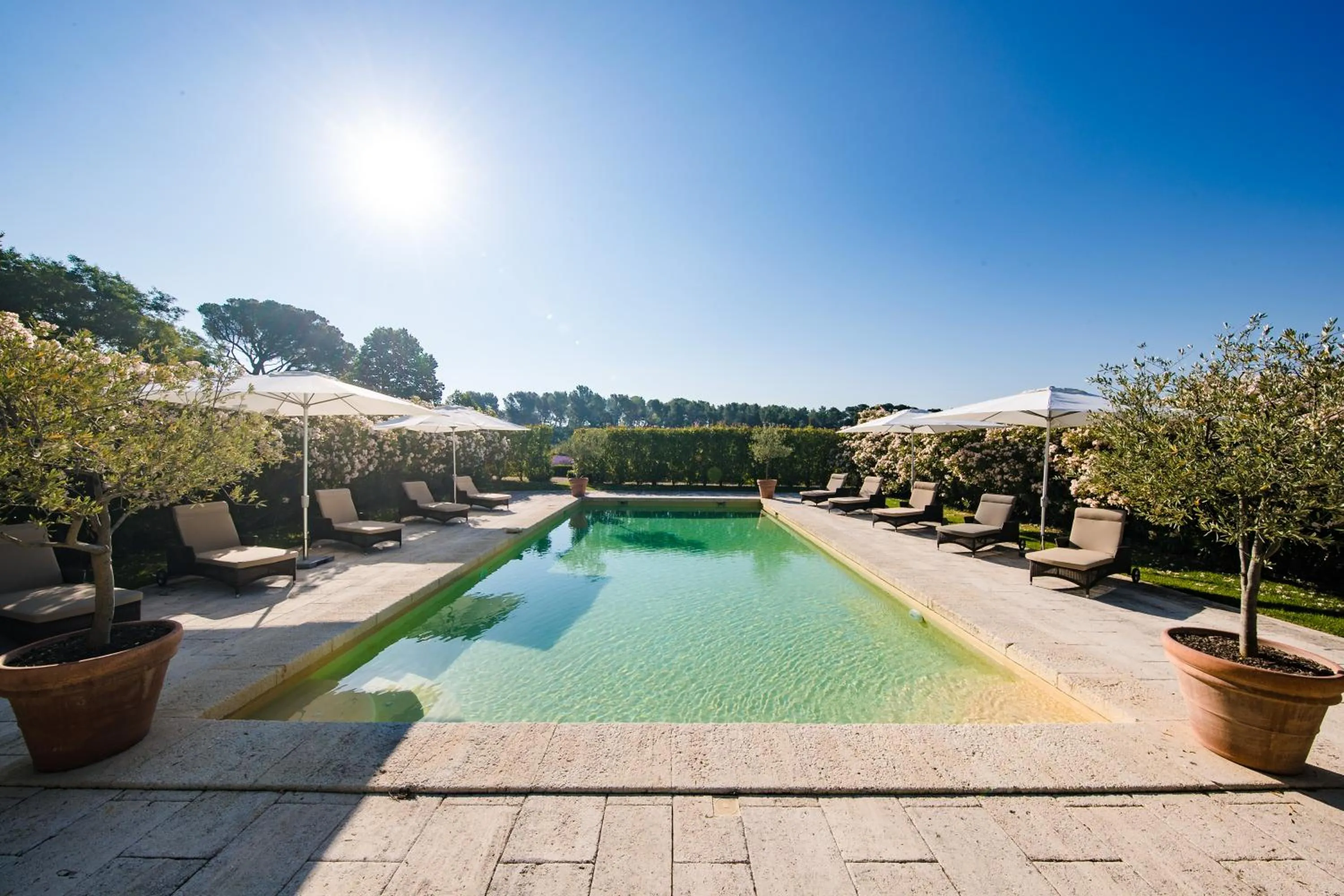 Swimming pool in Chambre d'hôtes Château Gigognan