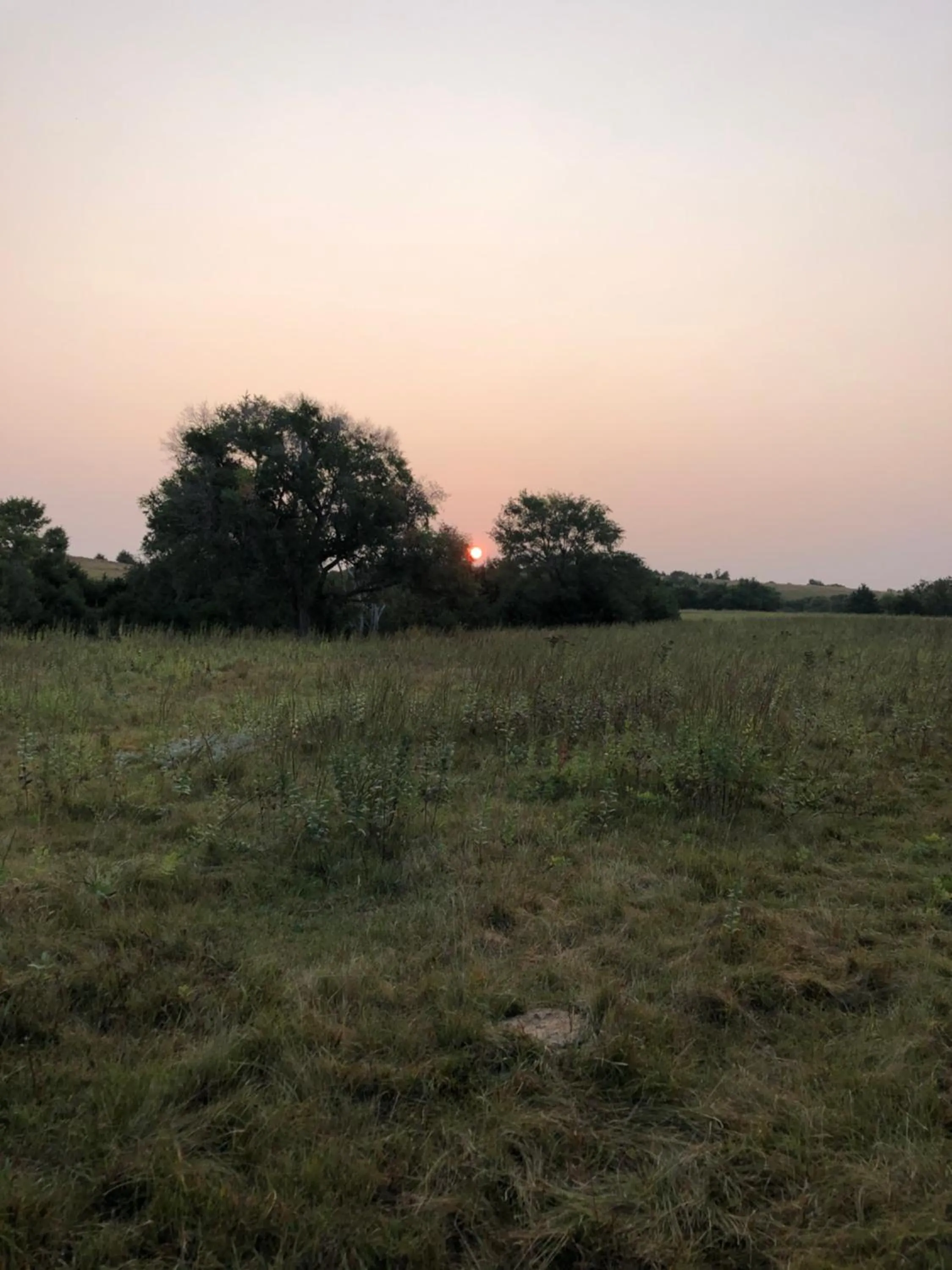 Property building in ReWild Ranch LLC