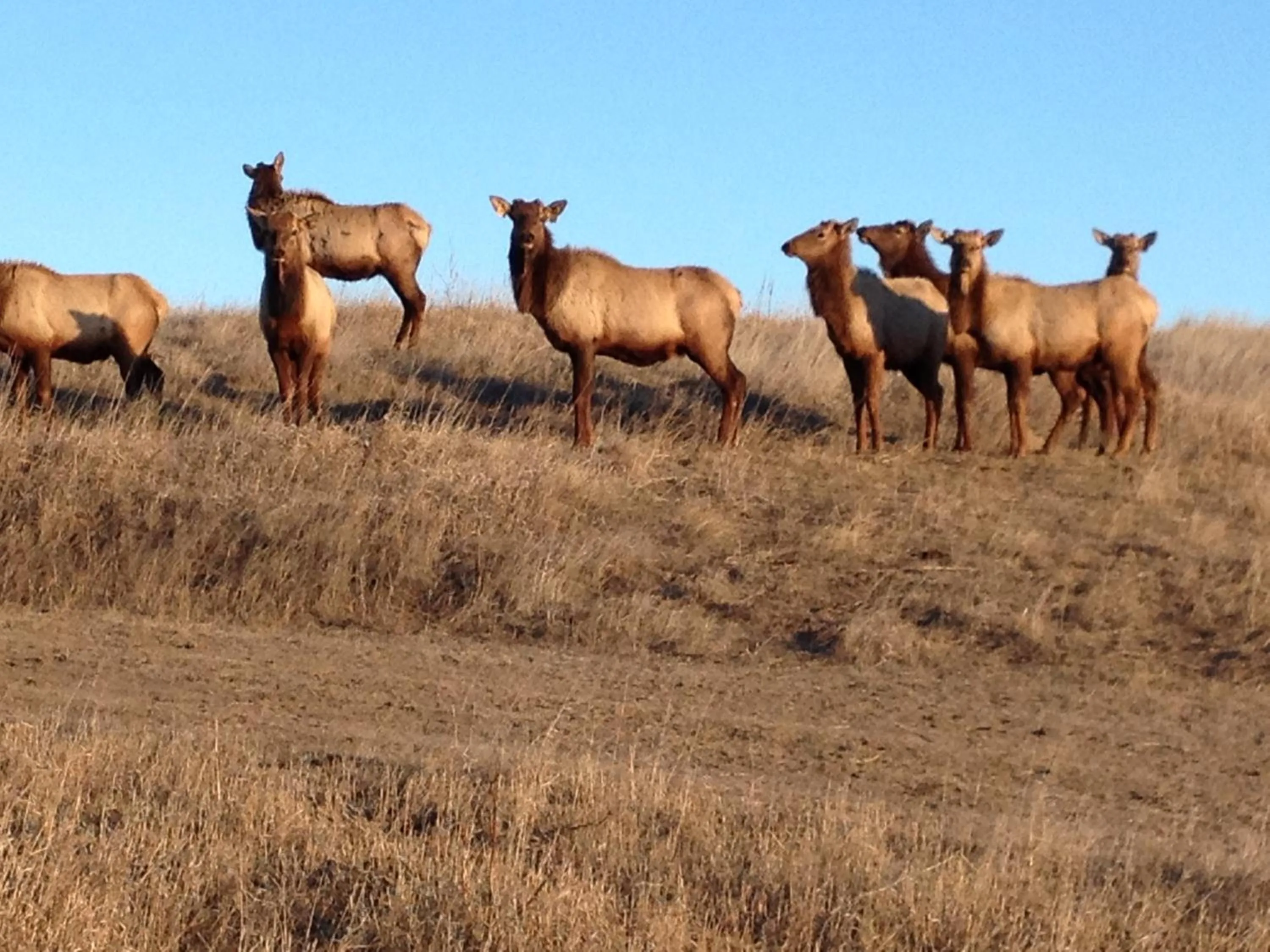 Property building in ReWild Ranch LLC