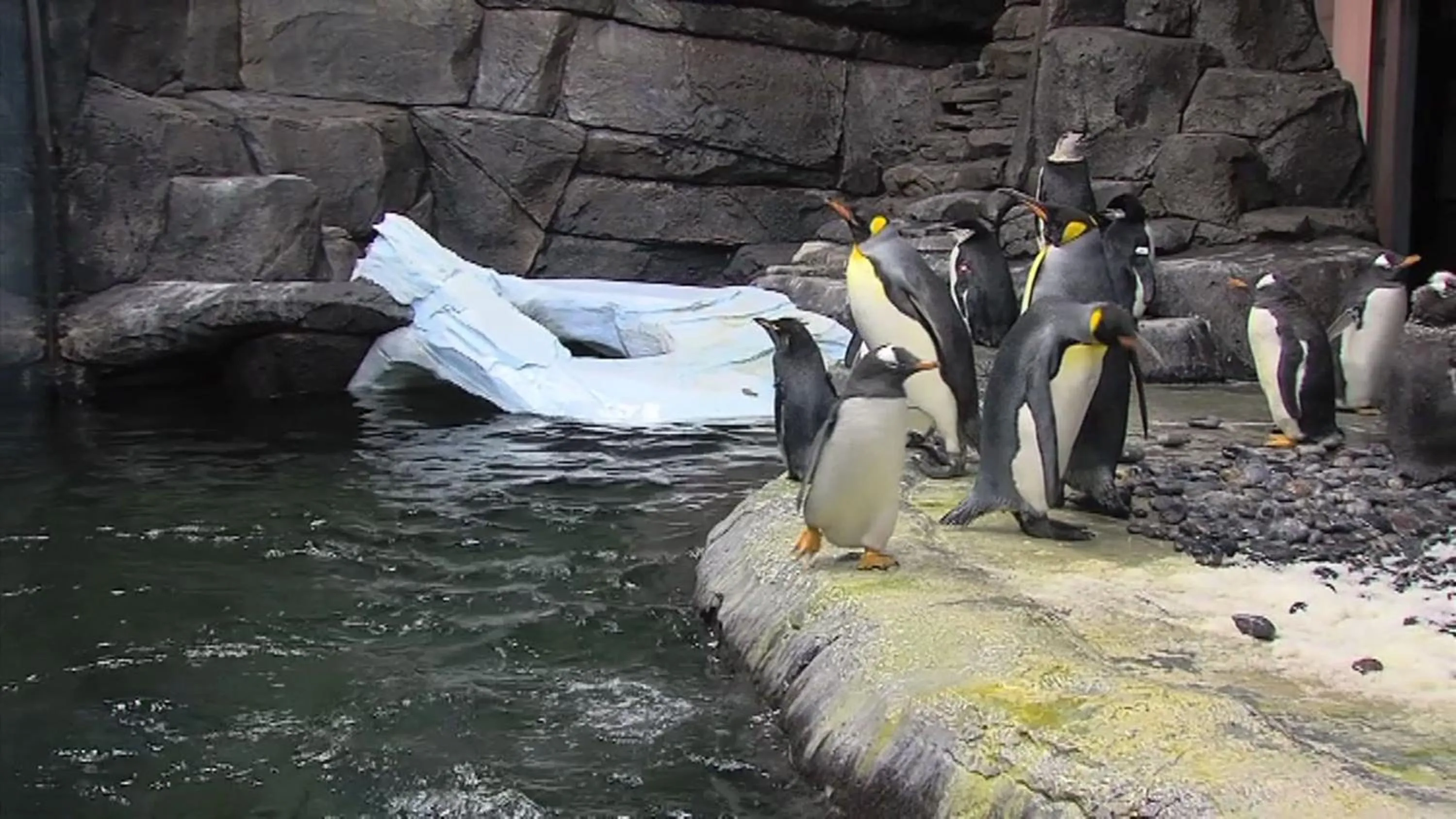 Entertainment in Hawthorn Extended Stay by Wyndham Cincinnati NE Mason