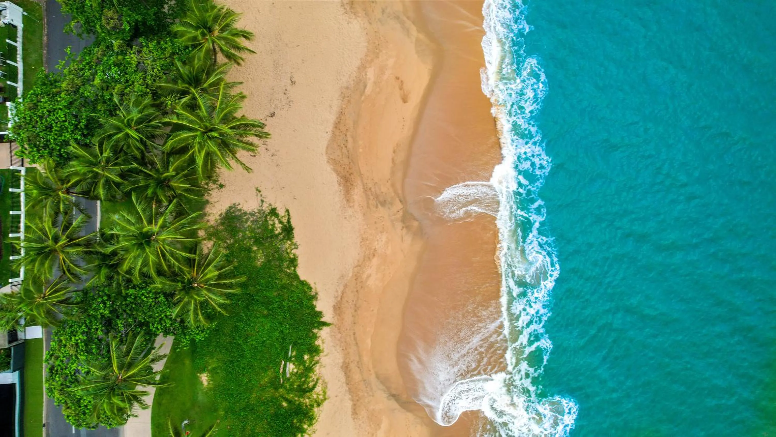 Trinity Beach Pacific