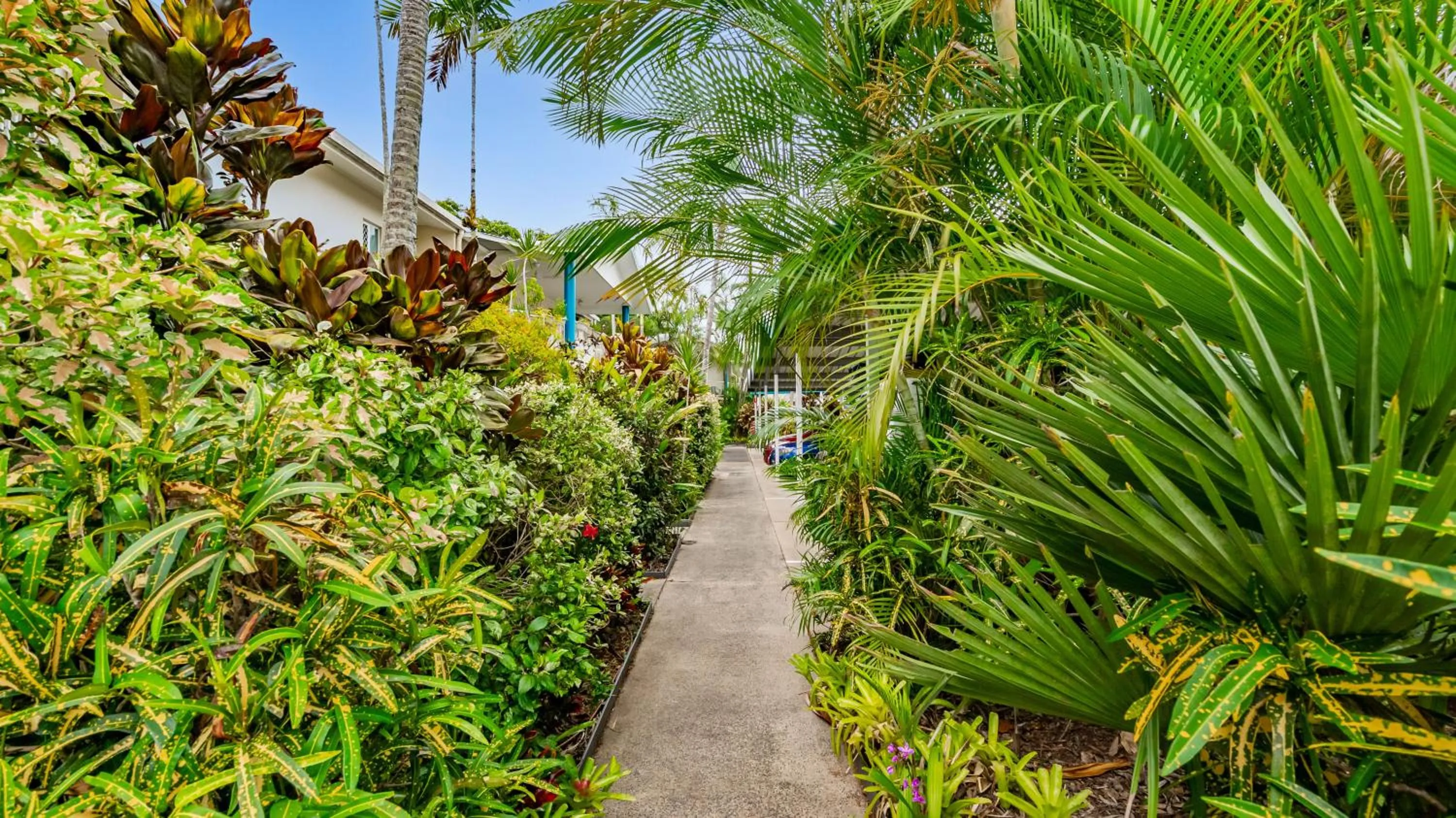 Trinity Beach Pacific