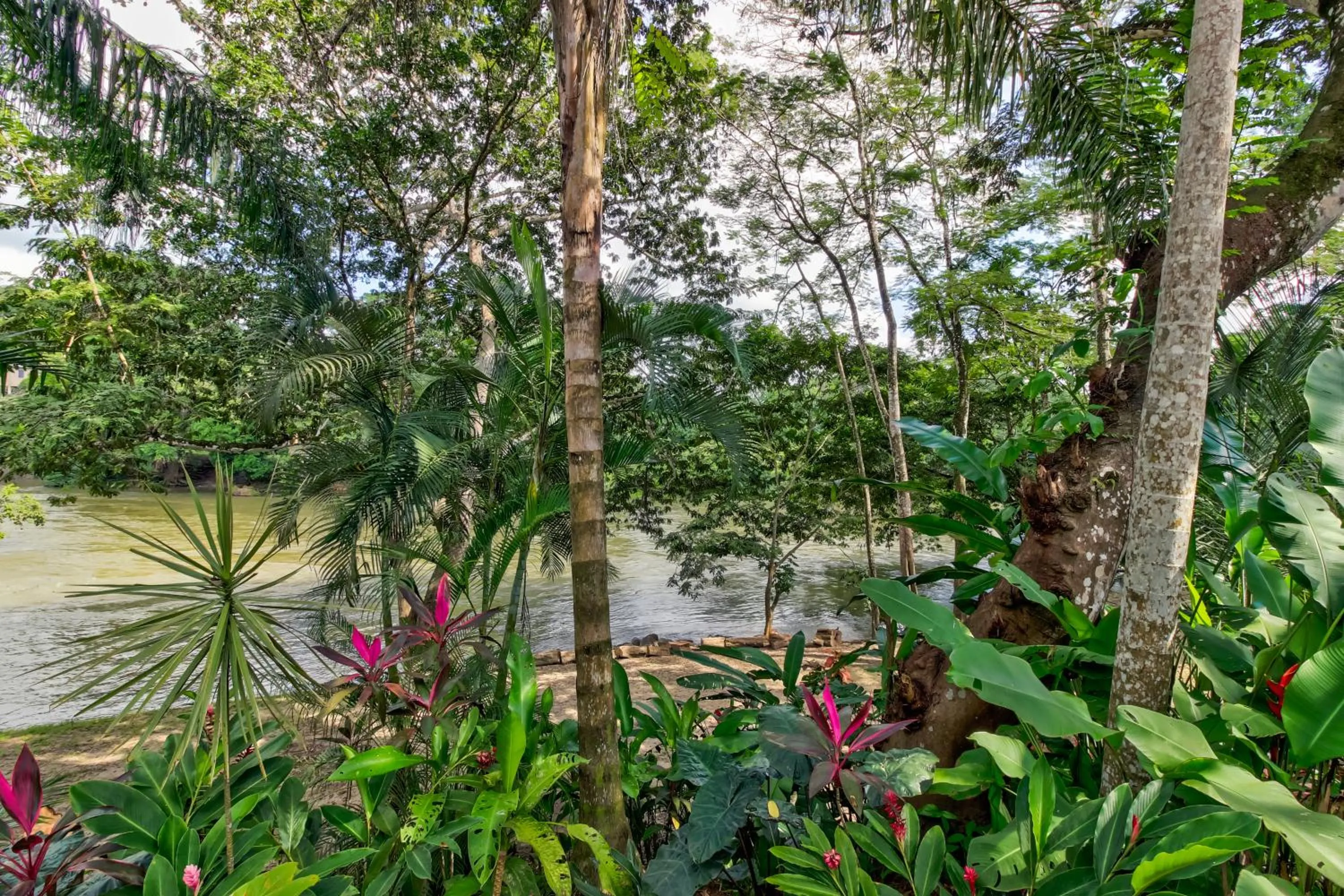 Toucan Suite @ Mahogany Hall