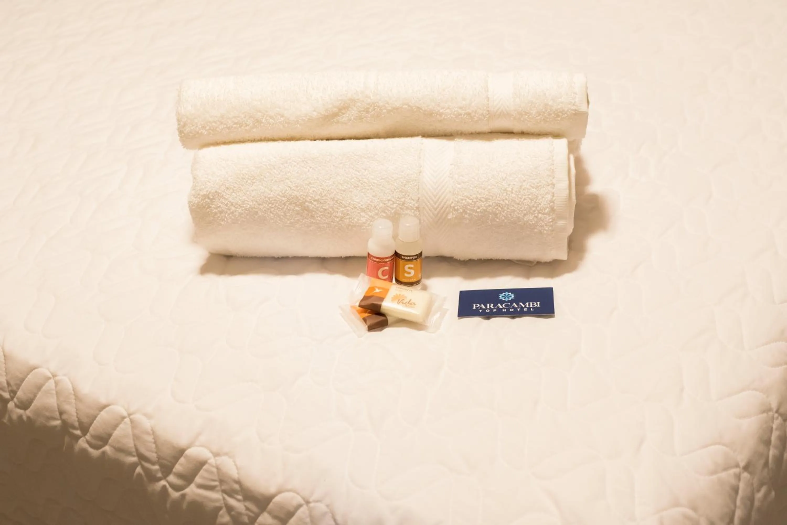 Bed in Paracambi Top Hotel