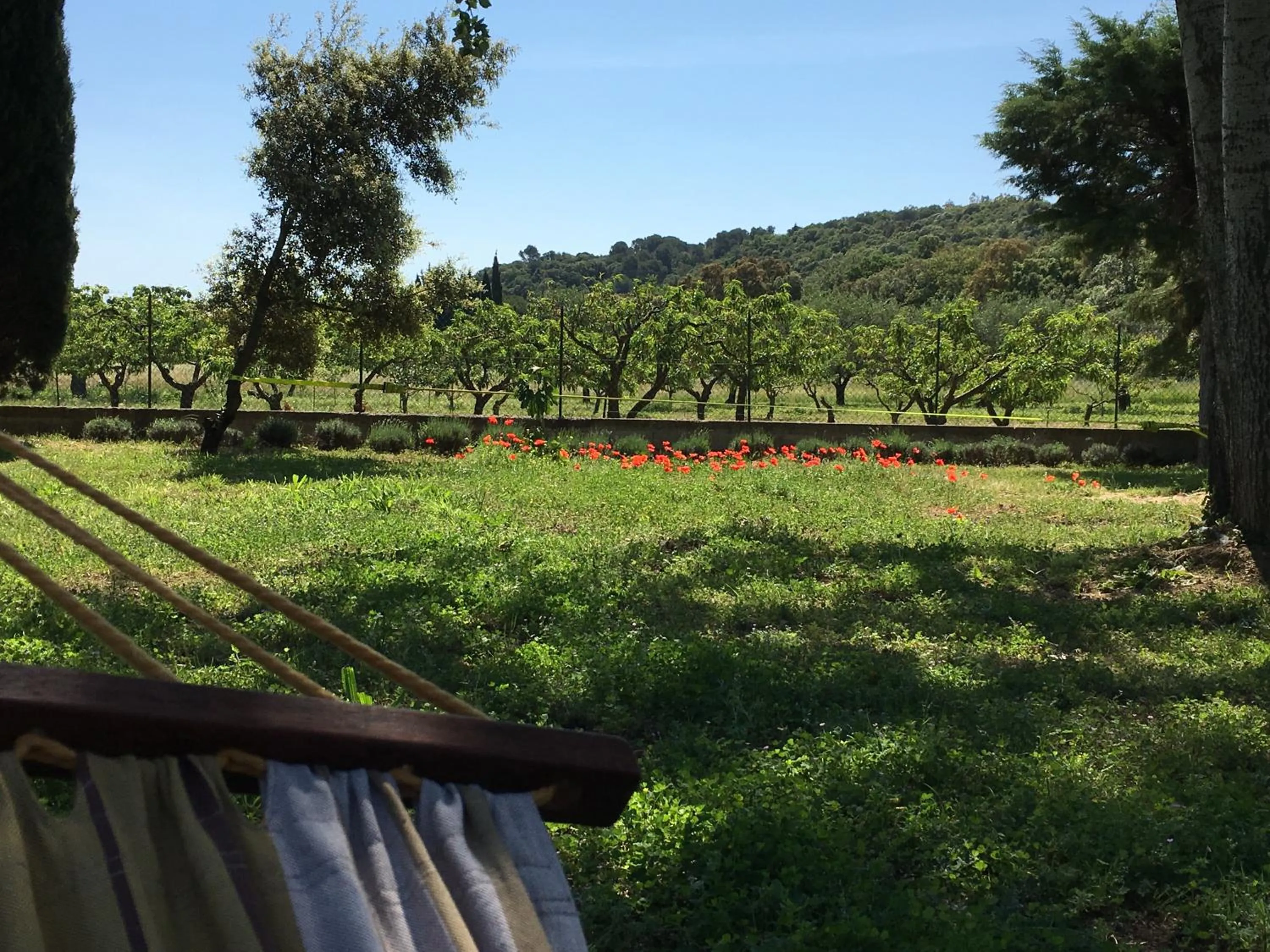Spring in LE CHÊNE ET L'EAU
