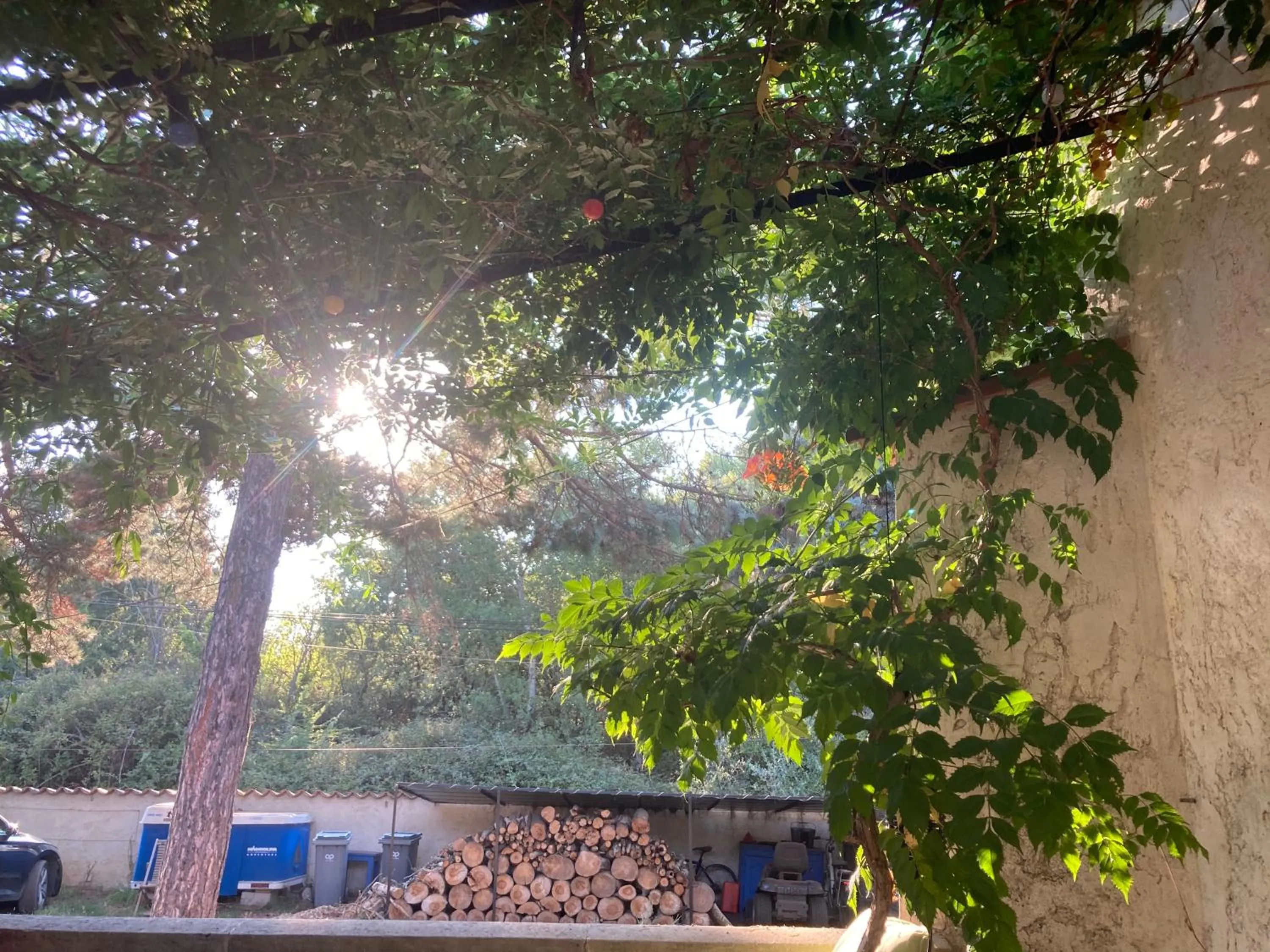 Spring in LE CHÊNE ET L'EAU