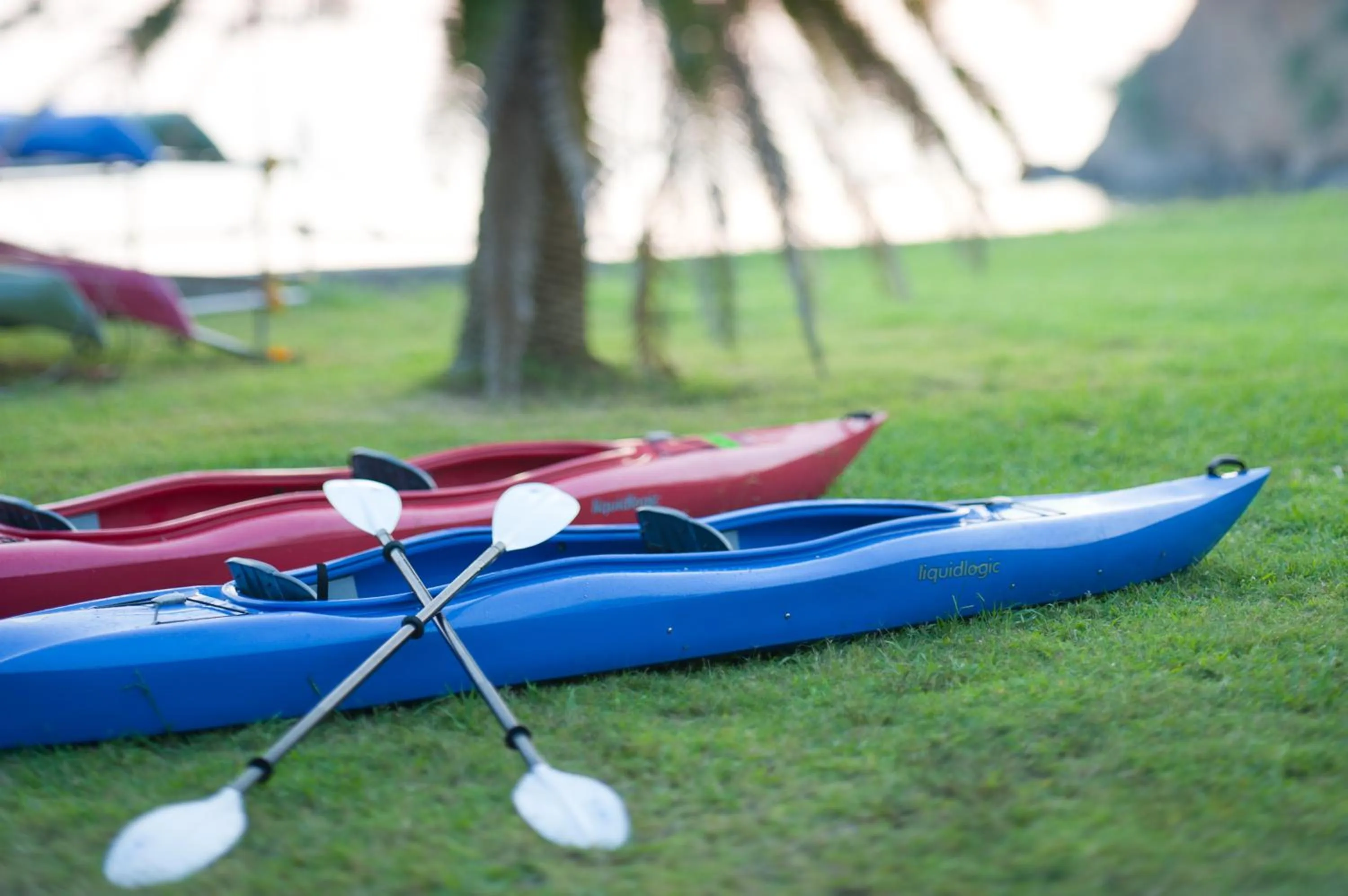 Activities in Nemu Resort Hotel Nemu