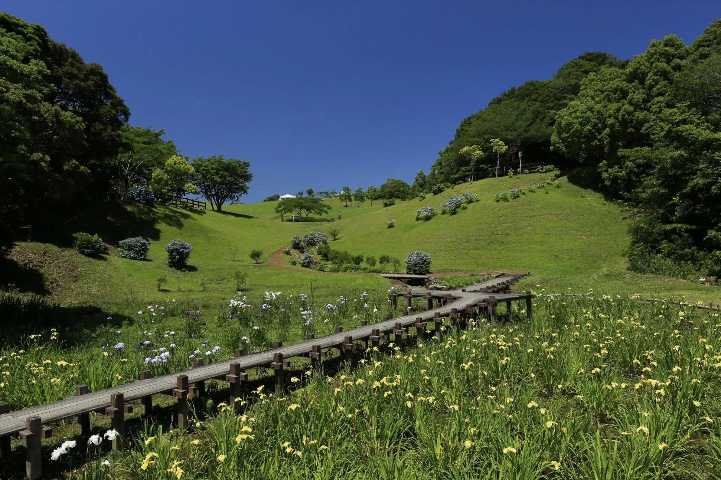 On site in Nemu Resort Hotel Nemu