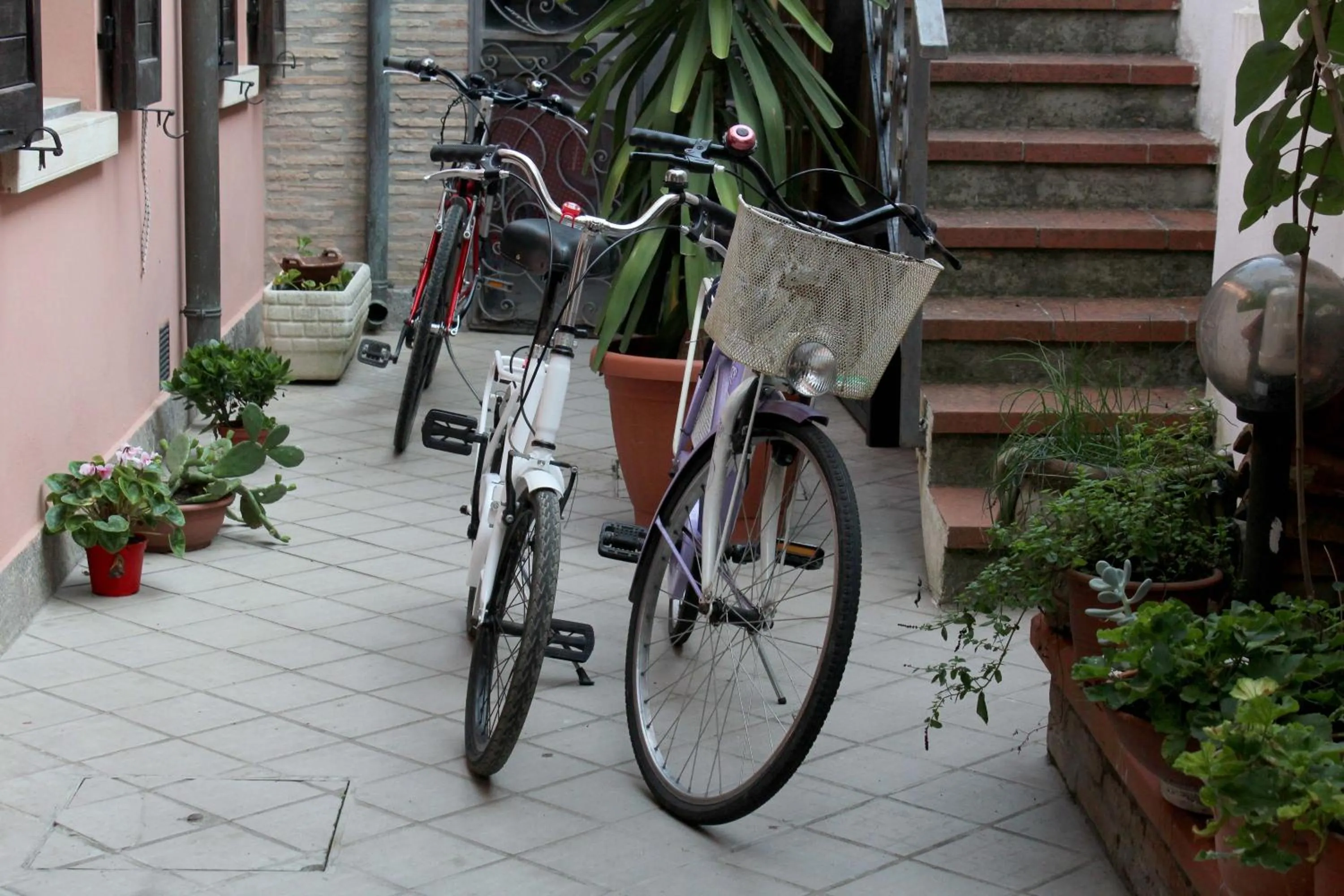 Cycling in Porta del Carmine