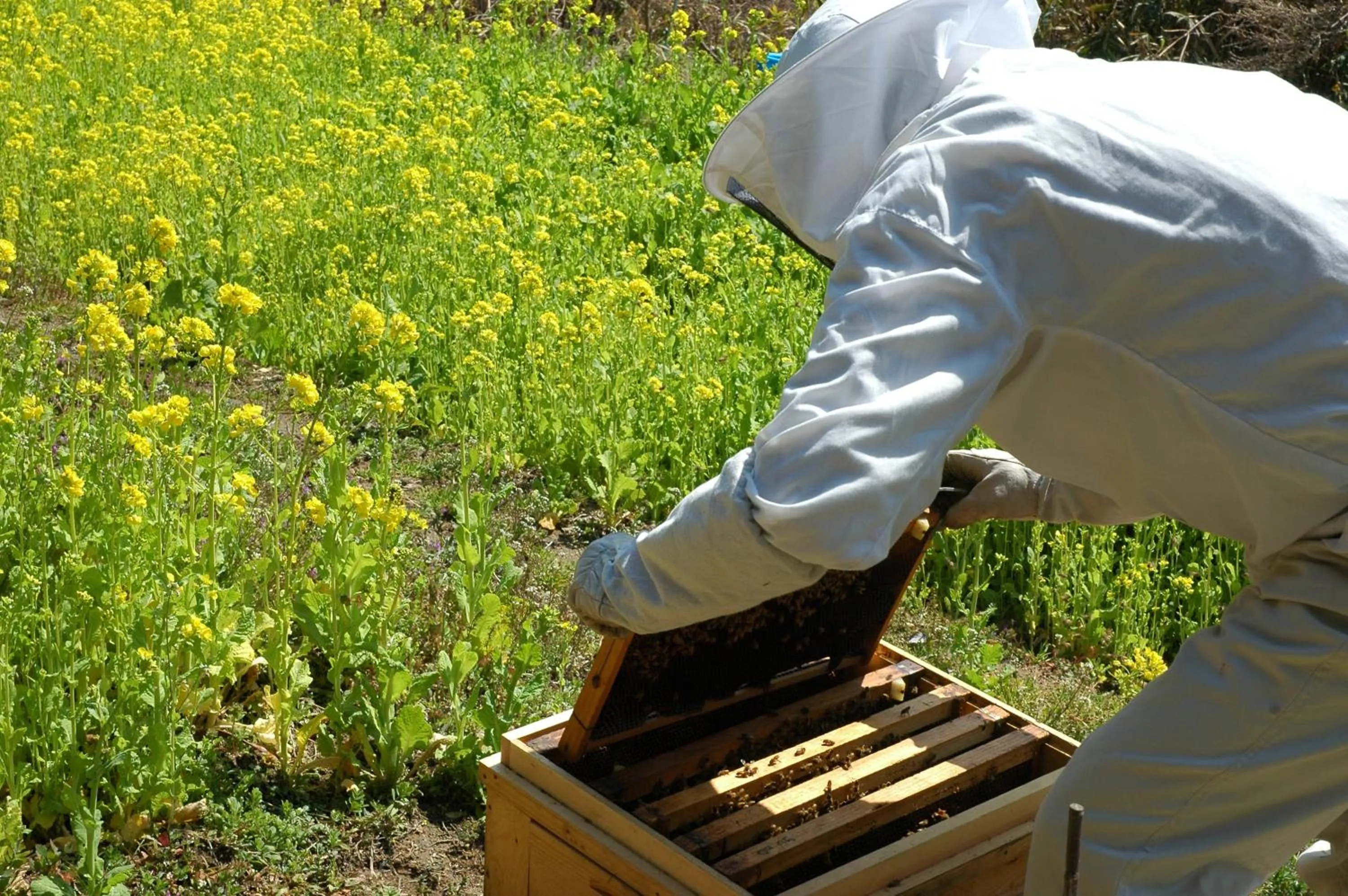 Pension KUROSHIOMARU