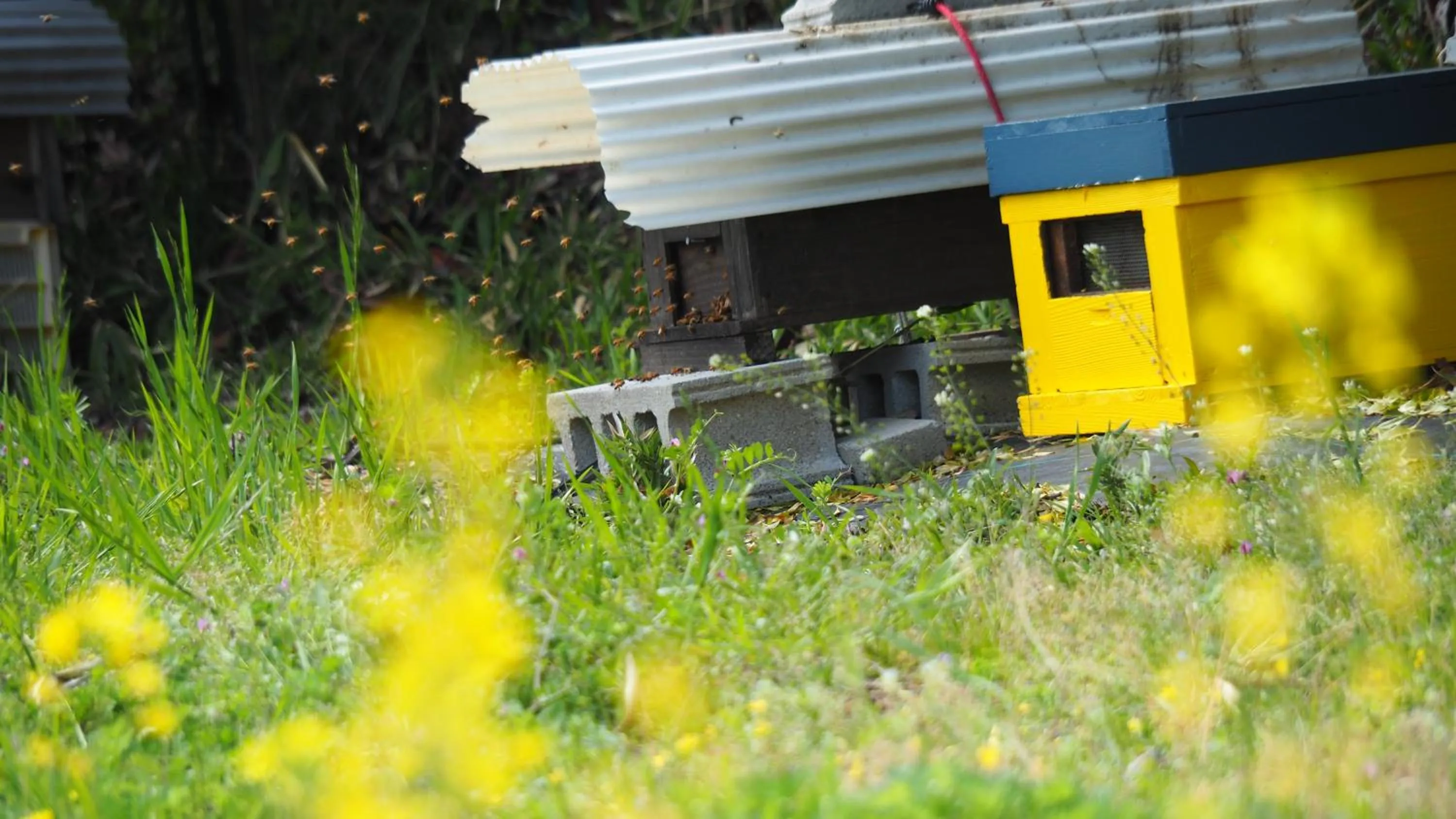 Pension KUROSHIOMARU