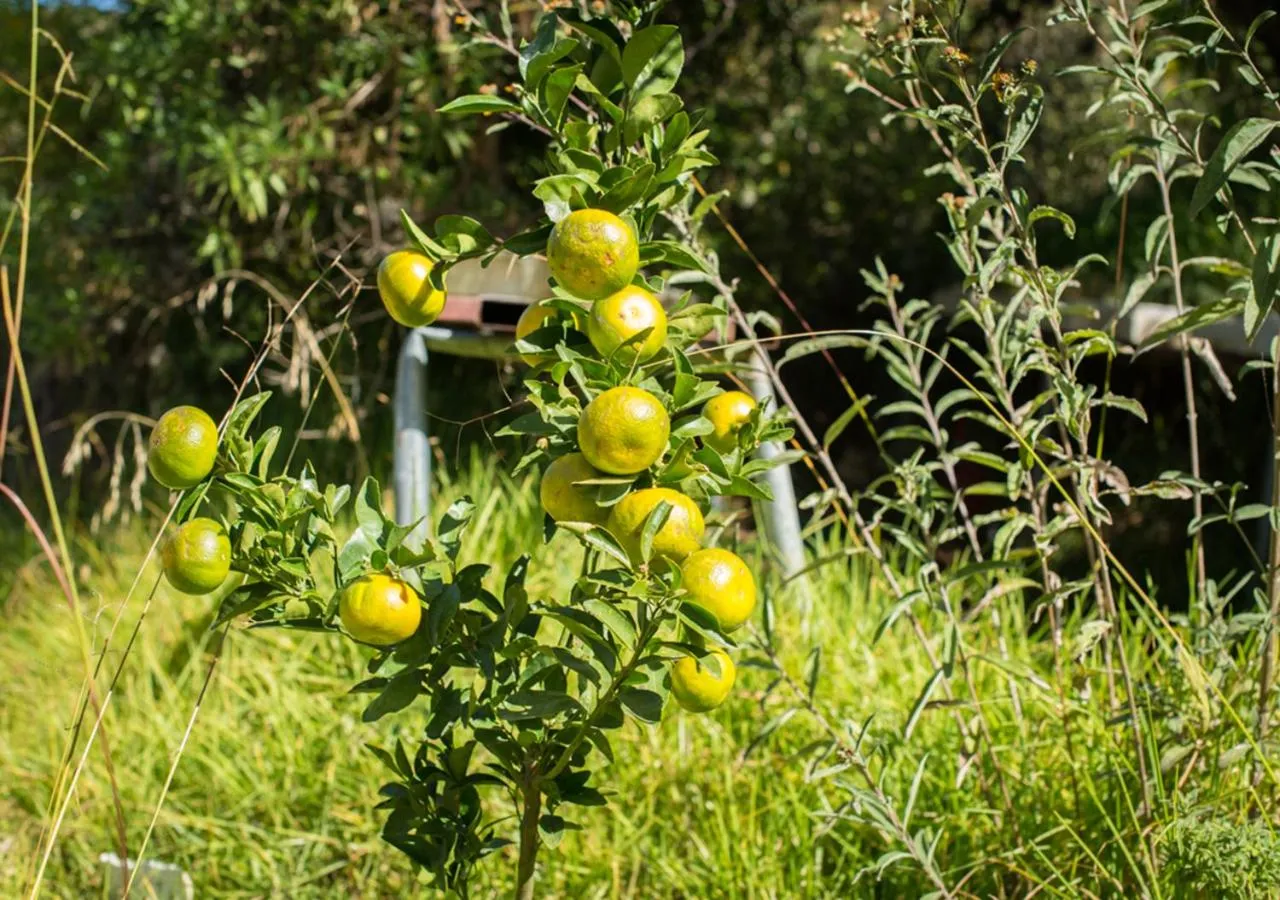 Off site in Casa Estrella de la Valenciana Hotel Boutique