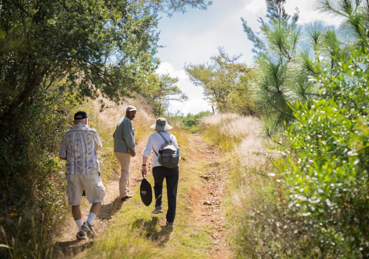 Off site in Casa Estrella de la Valenciana Hotel Boutique
