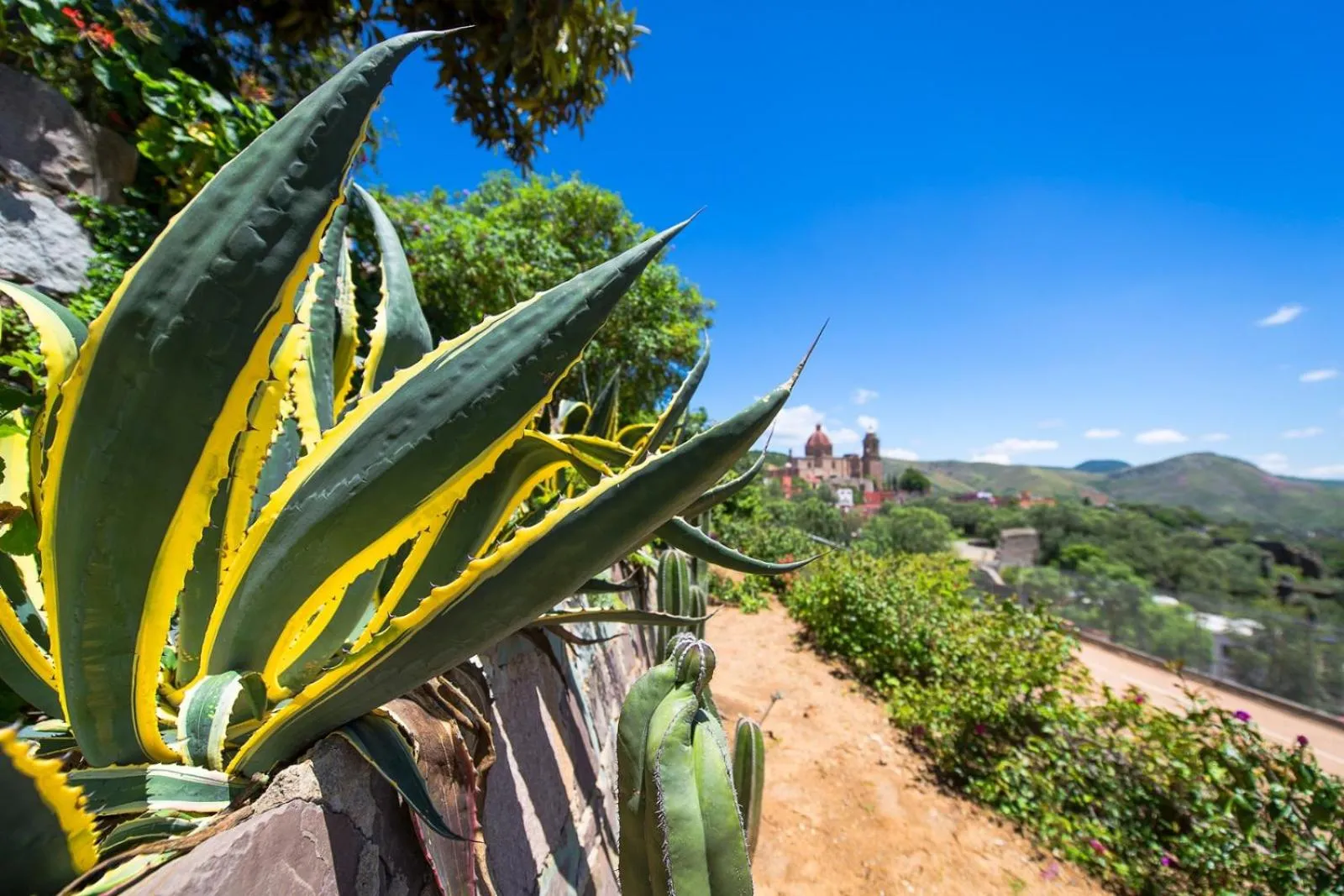 Garden in Casa Estrella de la Valenciana Hotel Boutique