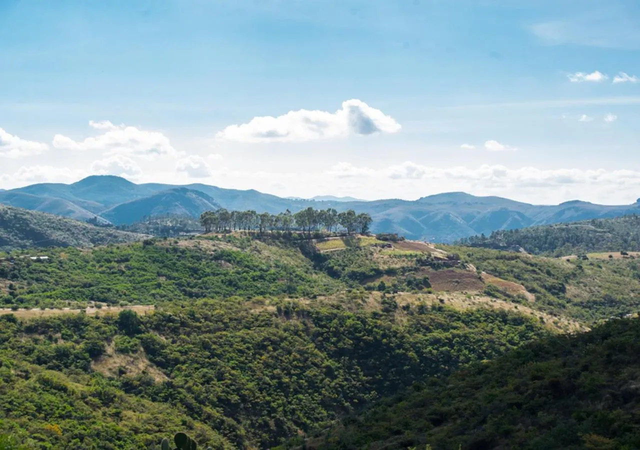 Off site in Casa Estrella de la Valenciana Hotel Boutique