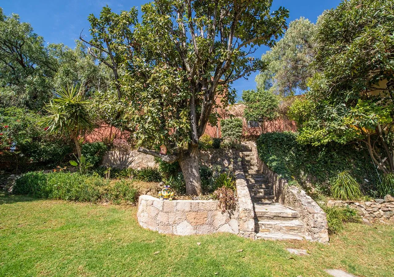Garden in Casa Estrella de la Valenciana Hotel Boutique
