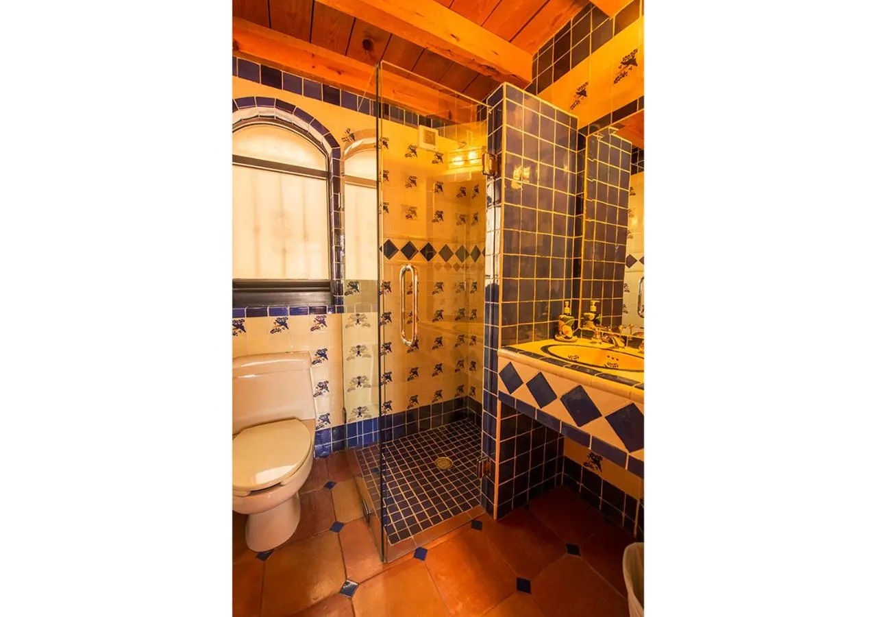 Shower in Casa Estrella de la Valenciana Hotel Boutique