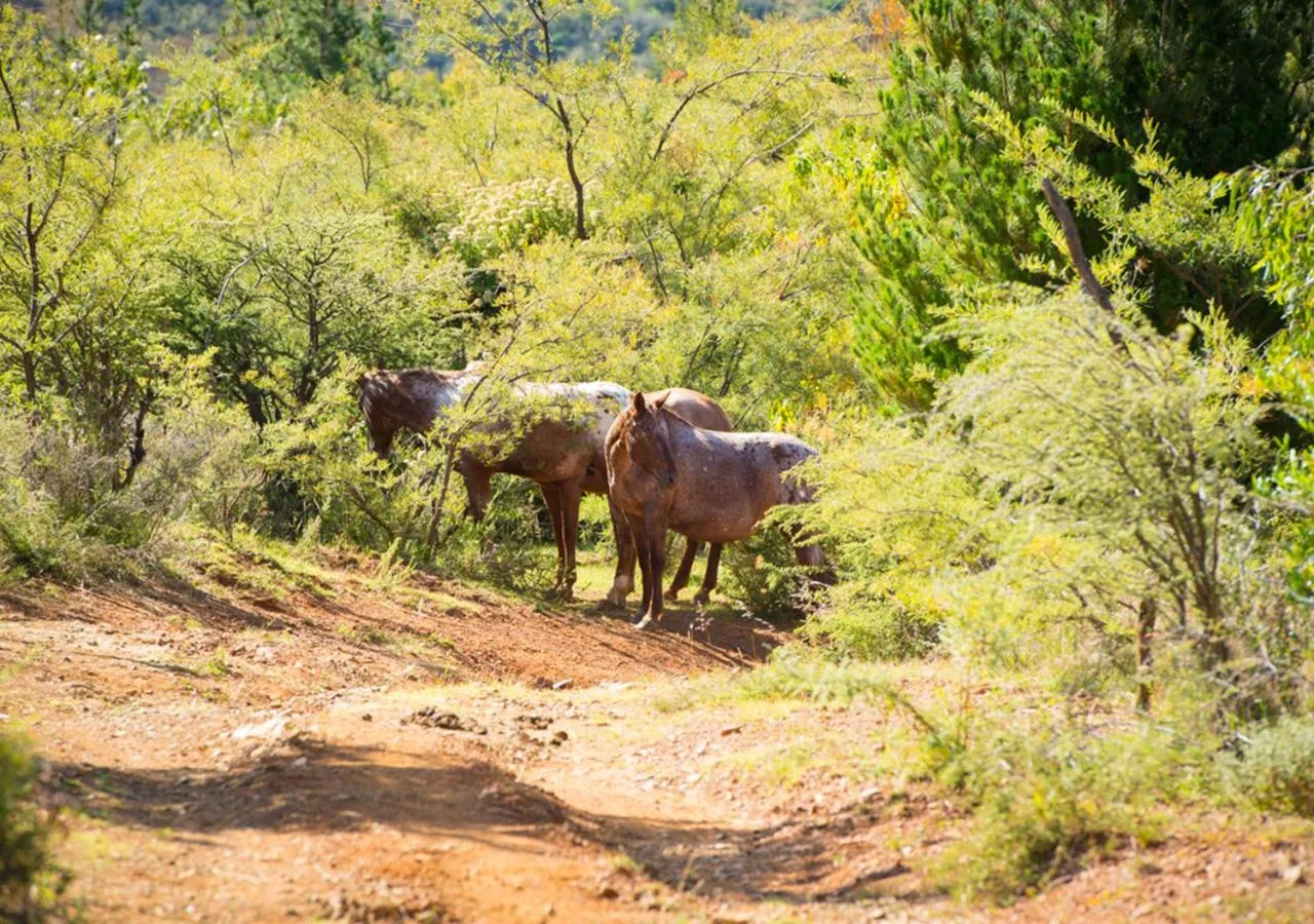 Off site in Casa Estrella de la Valenciana Hotel Boutique