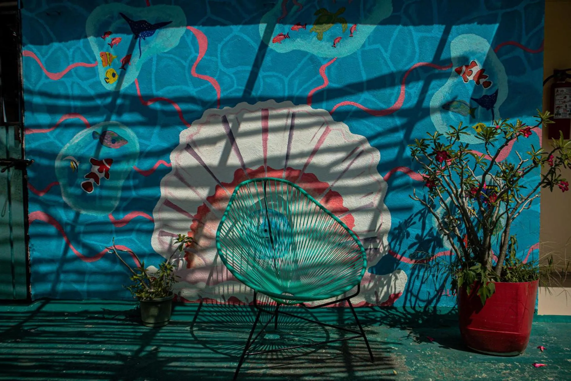 Balcony/Terrace in Casa Wayak