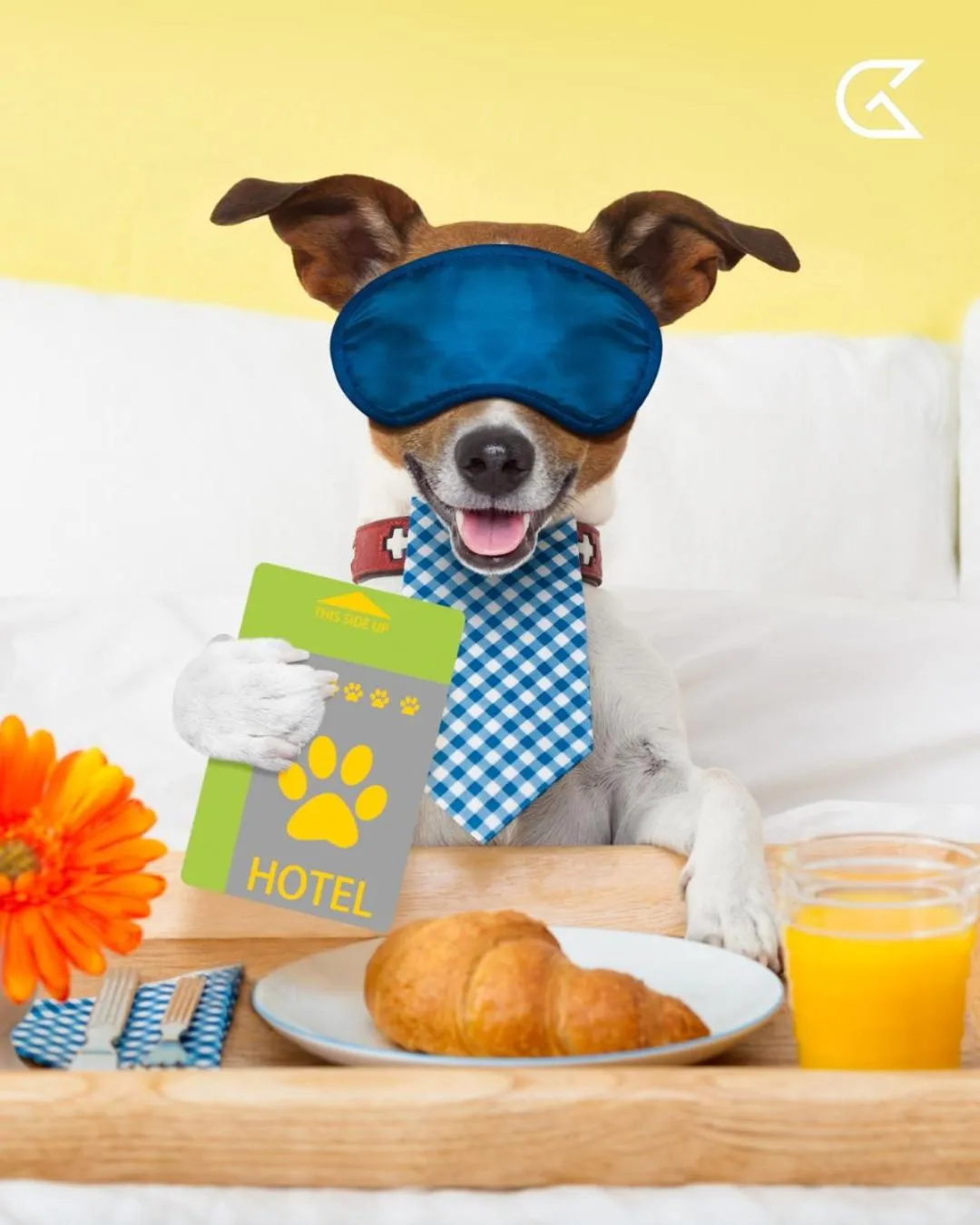 Pets in Golden Tulip Président Hammamet