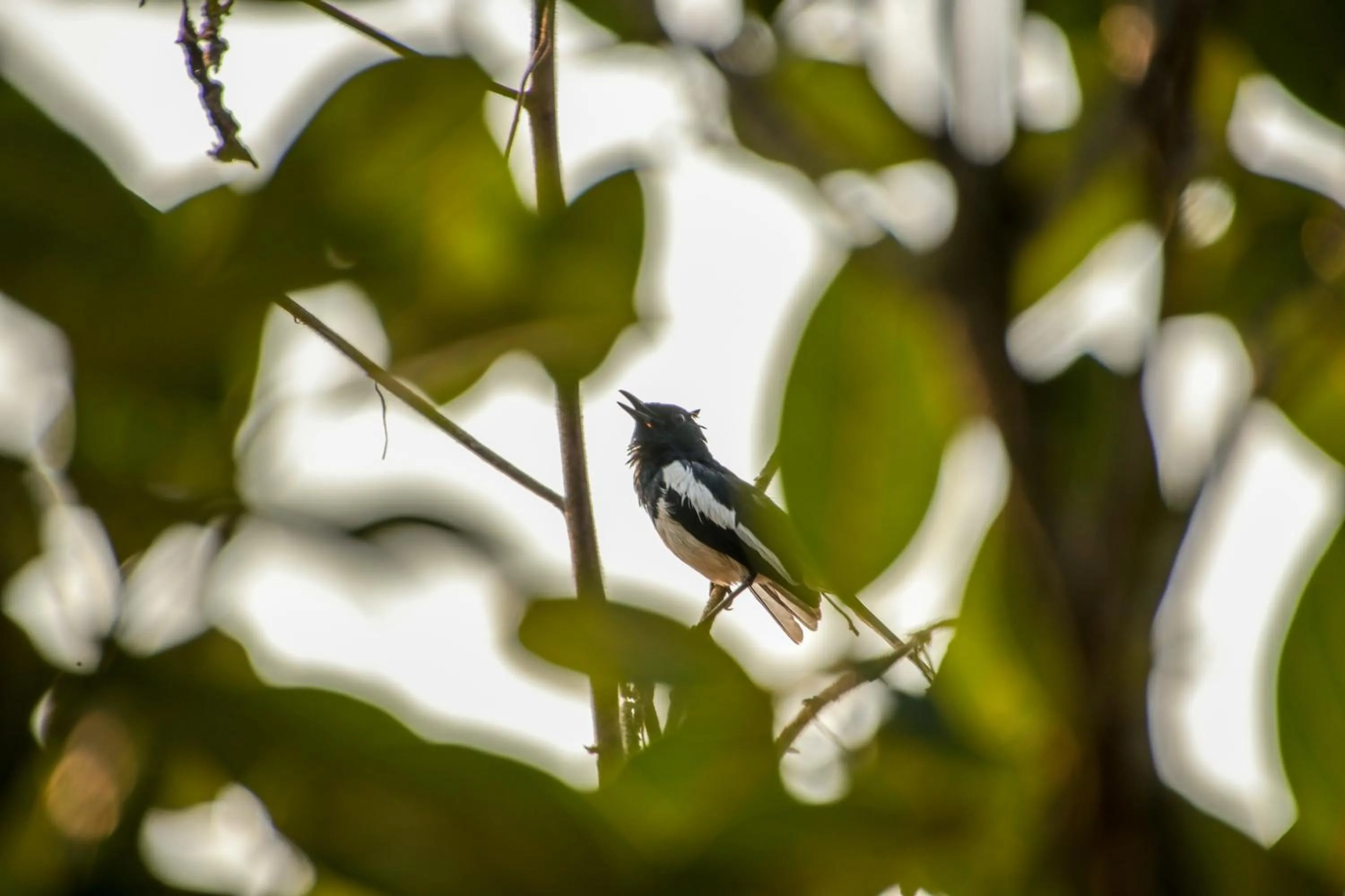 BaanRai KhunYa บ้านไร่คุณย่า